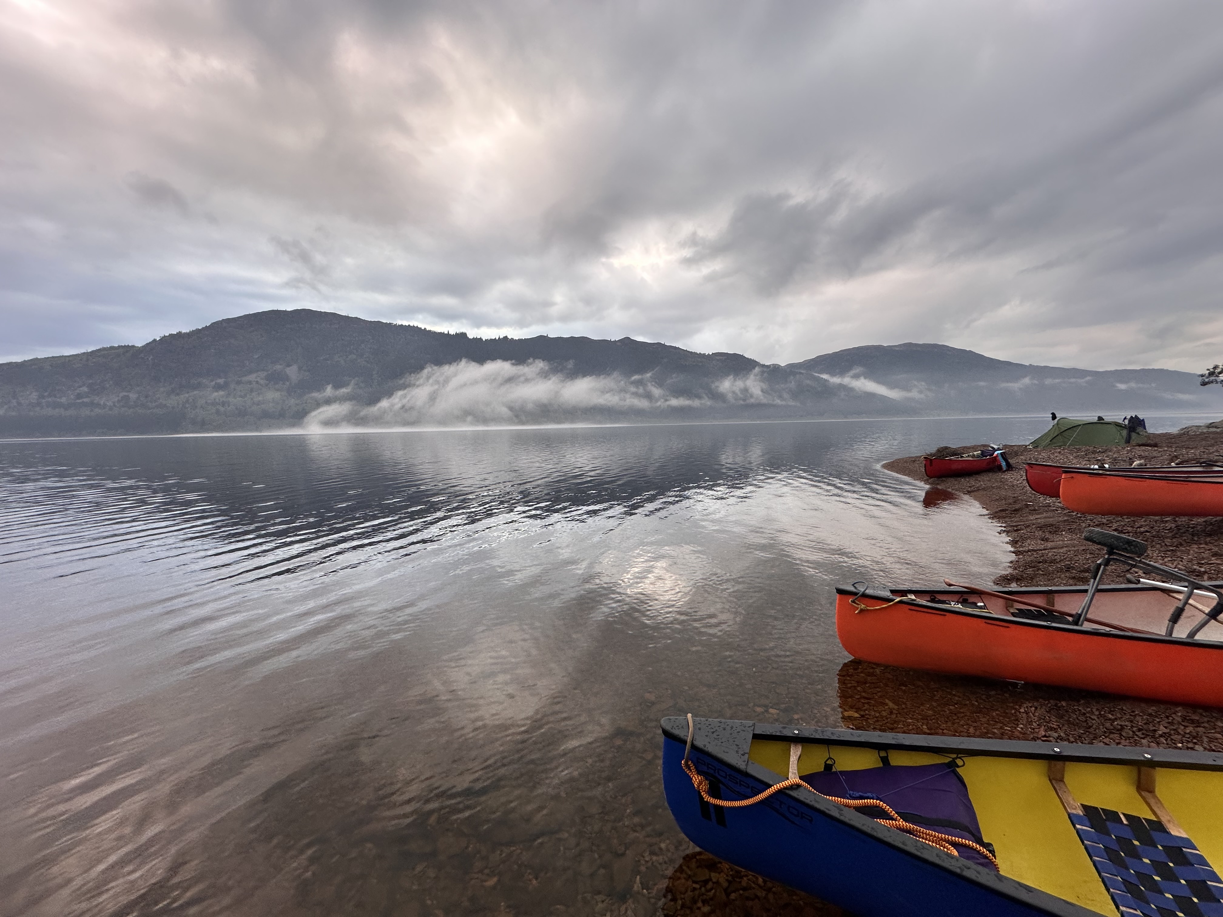 media_RDFWNCXGD55ZWKZ3