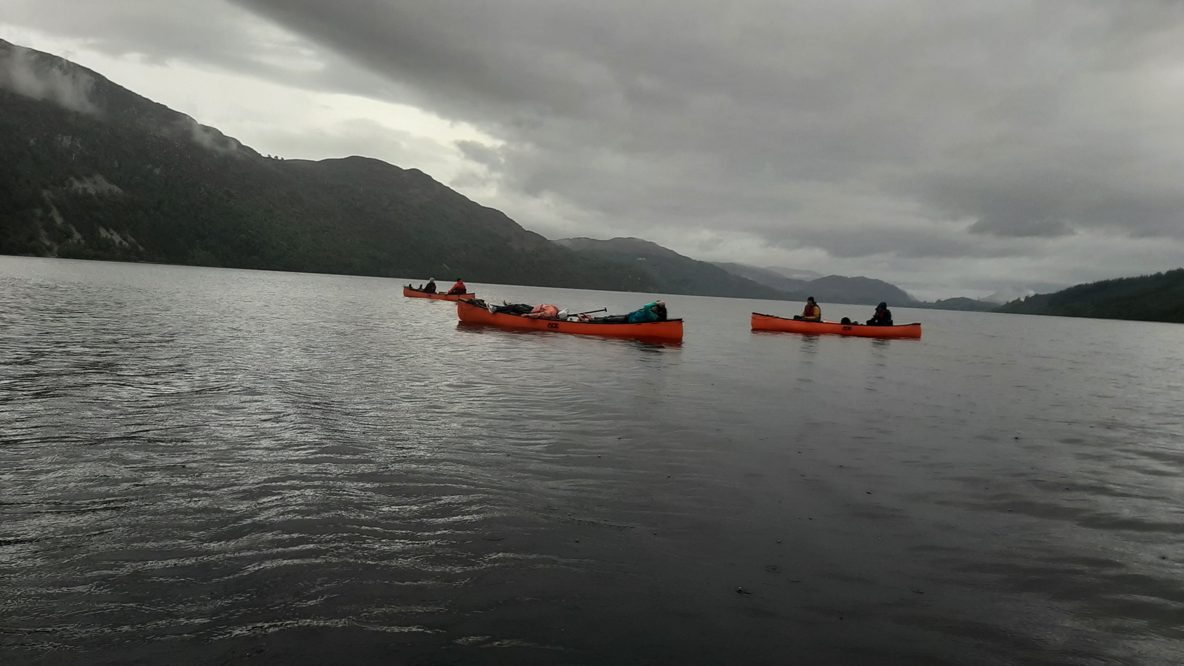 media_SFLPEWDZNTYDYZNH