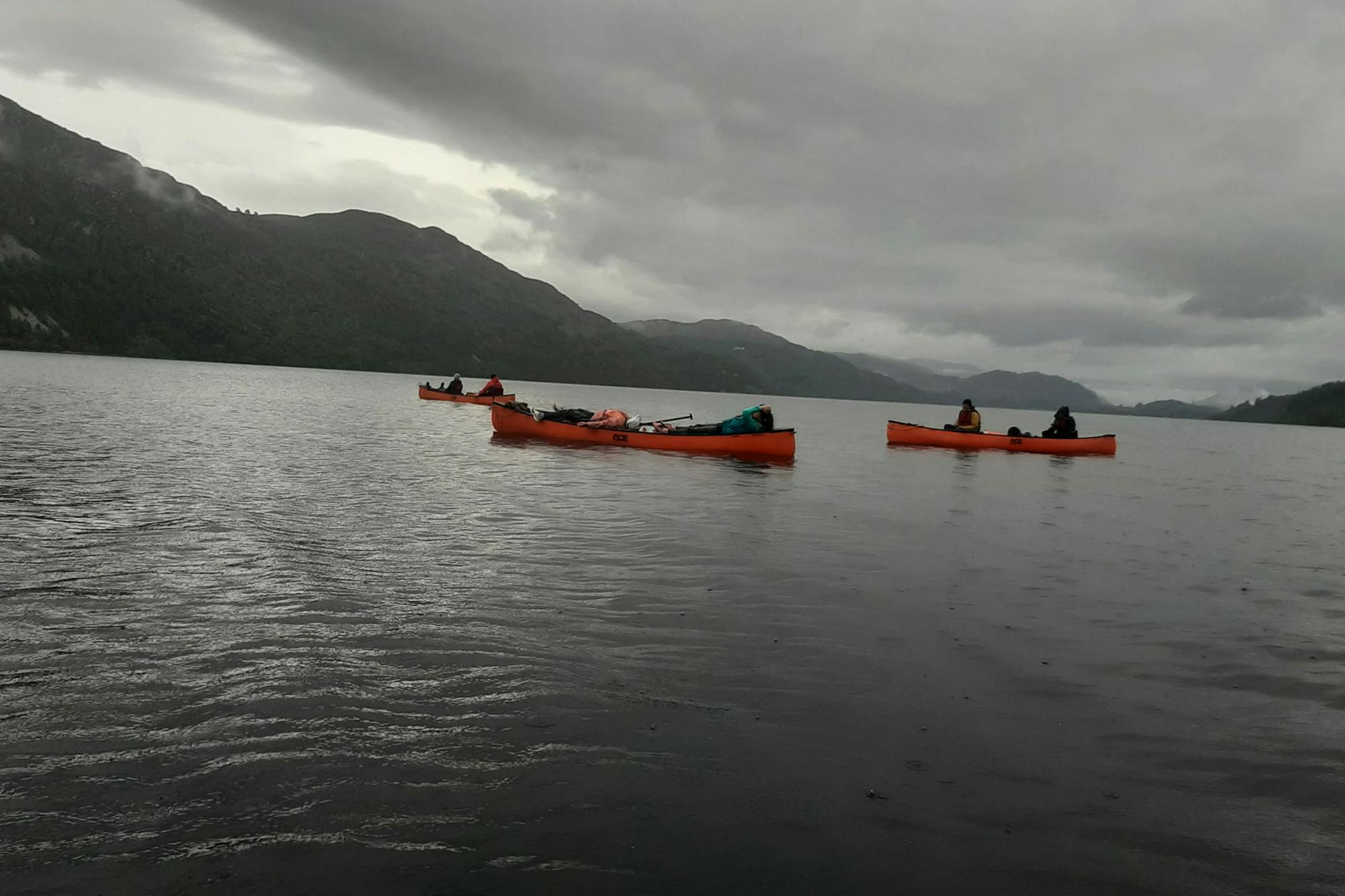 media_SFLPEWDZNTYDYZNH