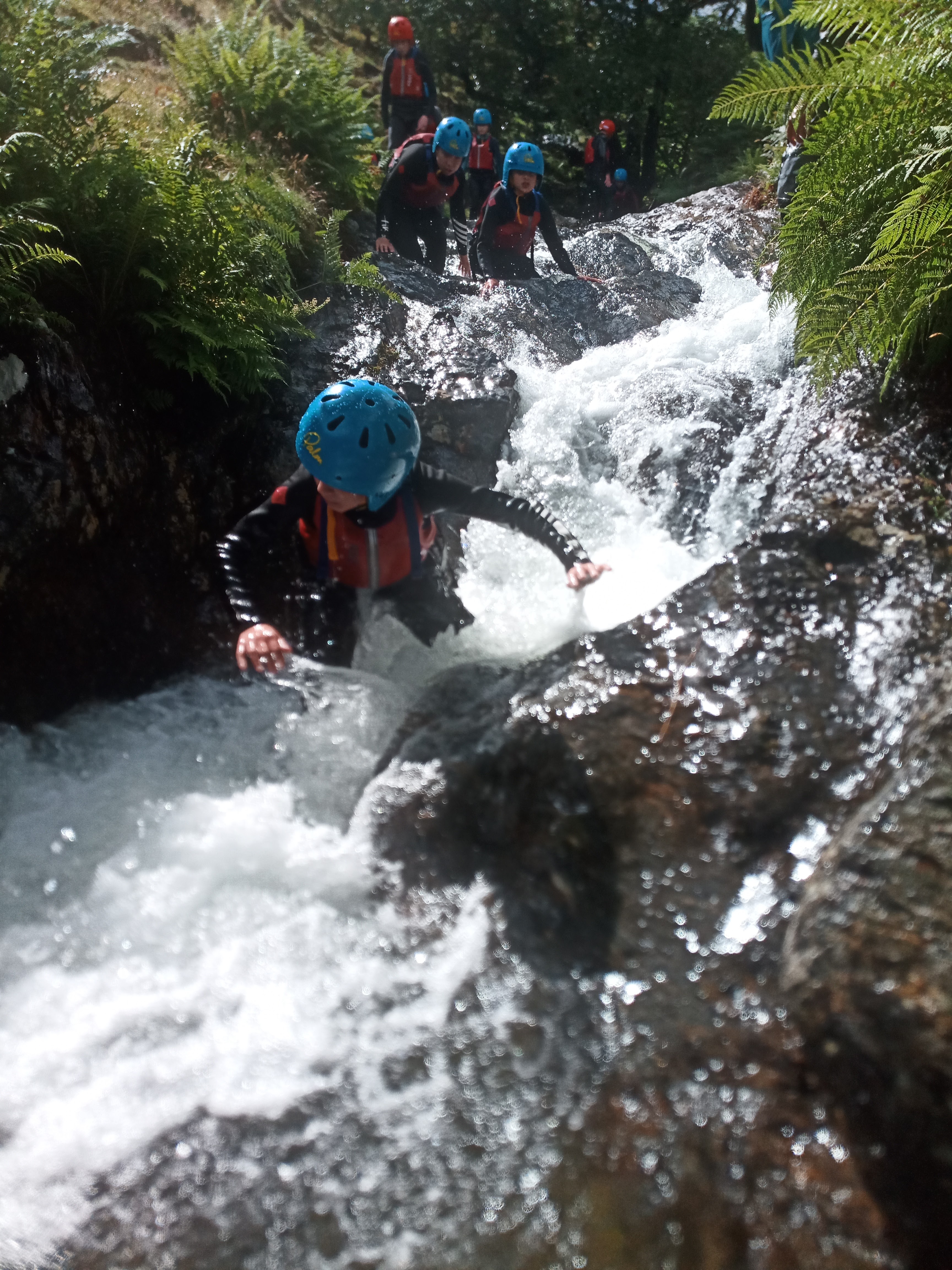 media_T262V6AXVPKJR78L