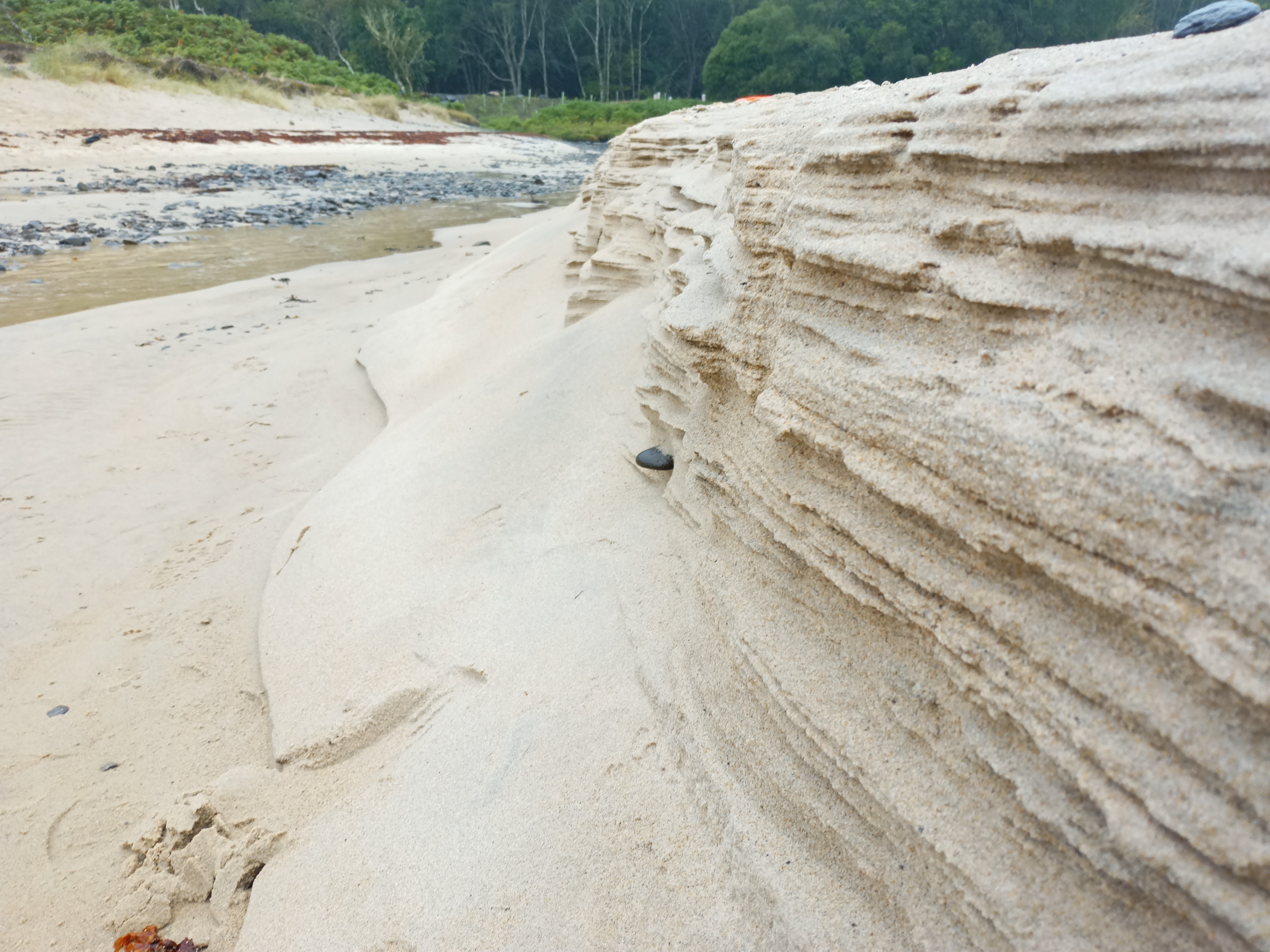 media_Y6QYTEKQUF7JA3QJ