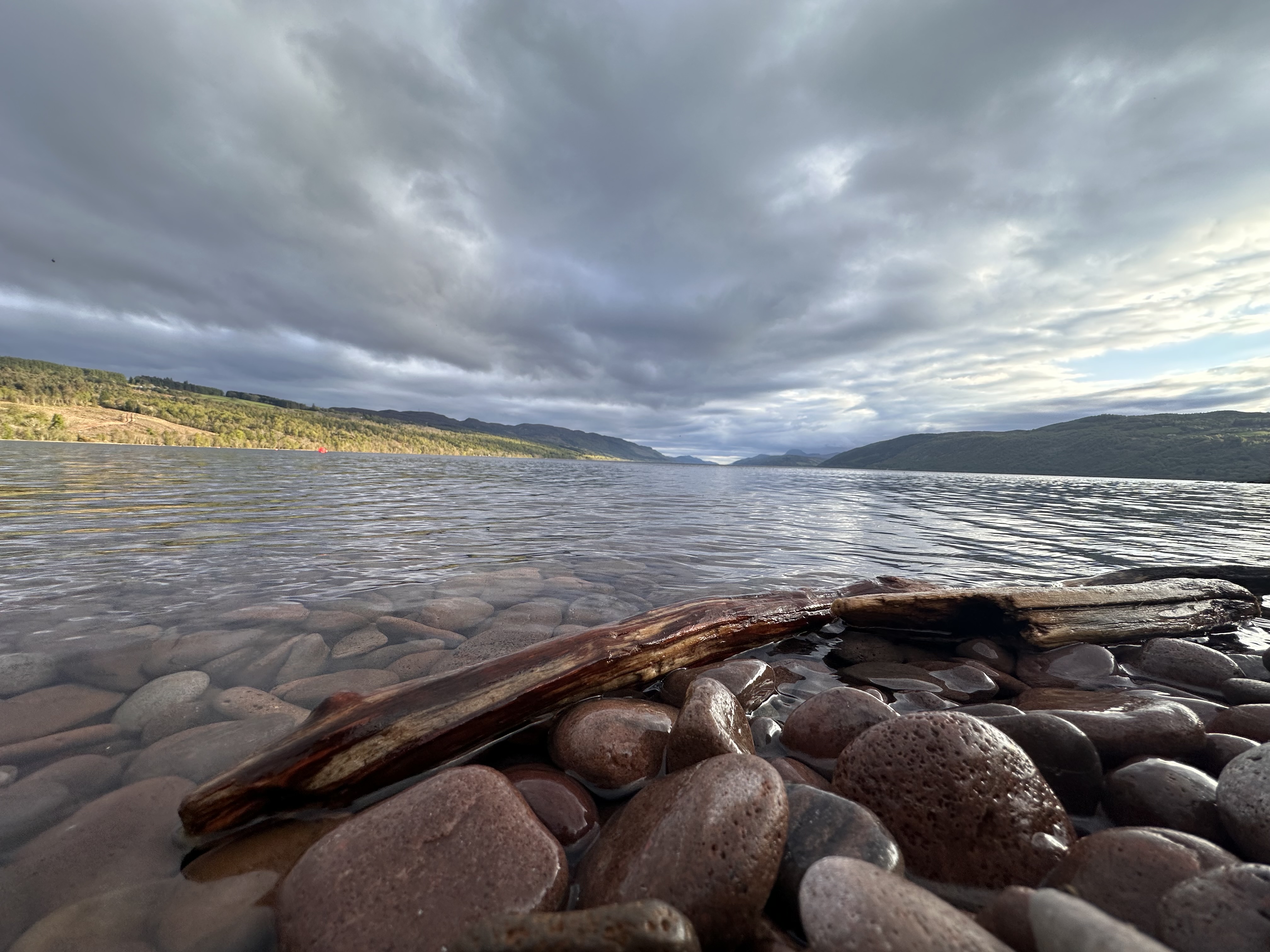 media_Y8CCQJ457U2JSTS5