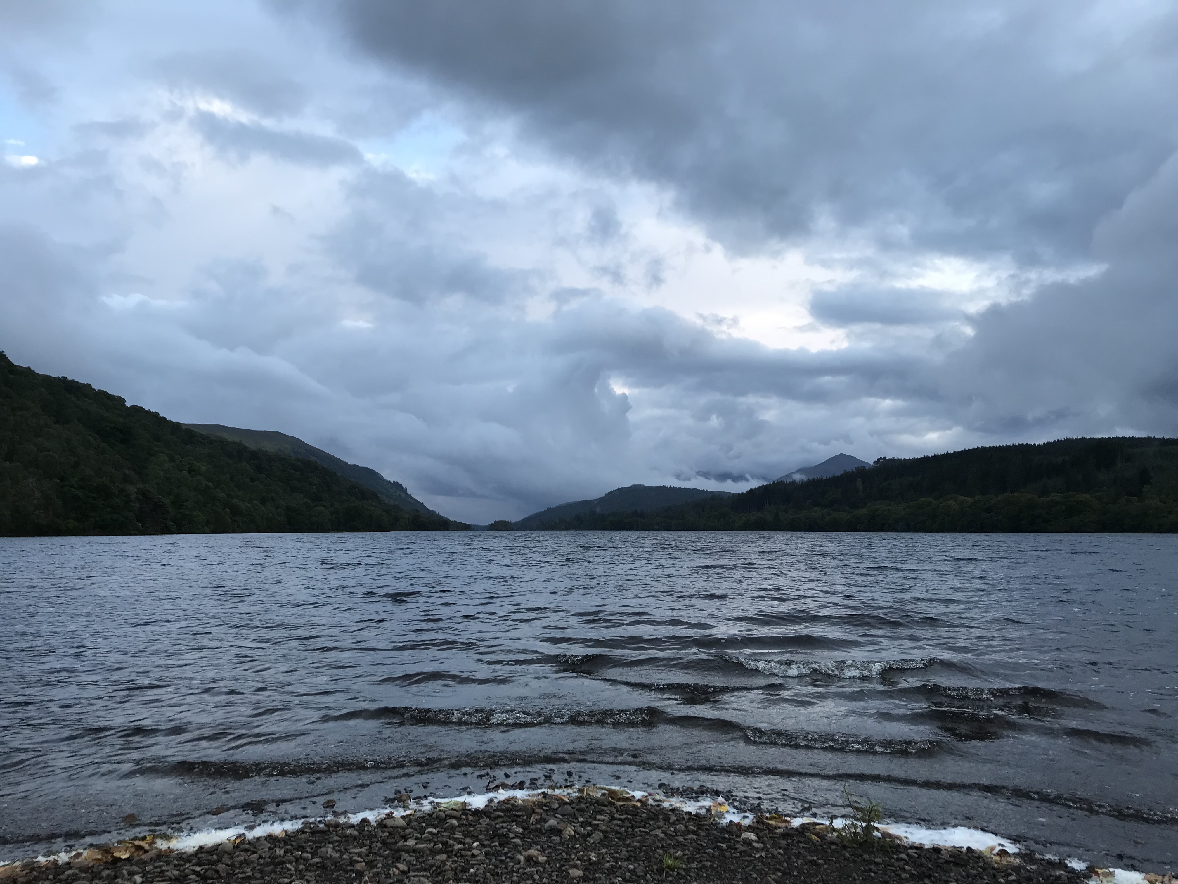 media_YTLLH2V88YYZ7YCA