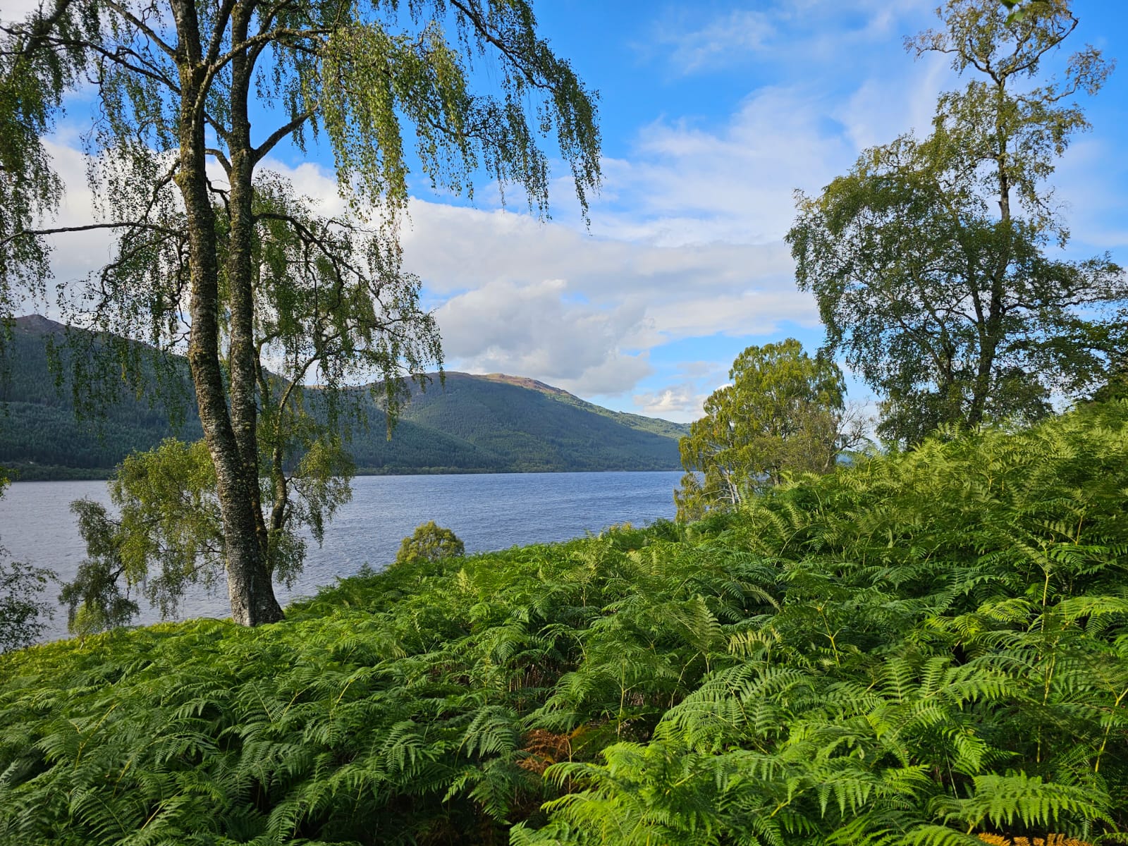 media_YUFXHZ3F5HAAQME2