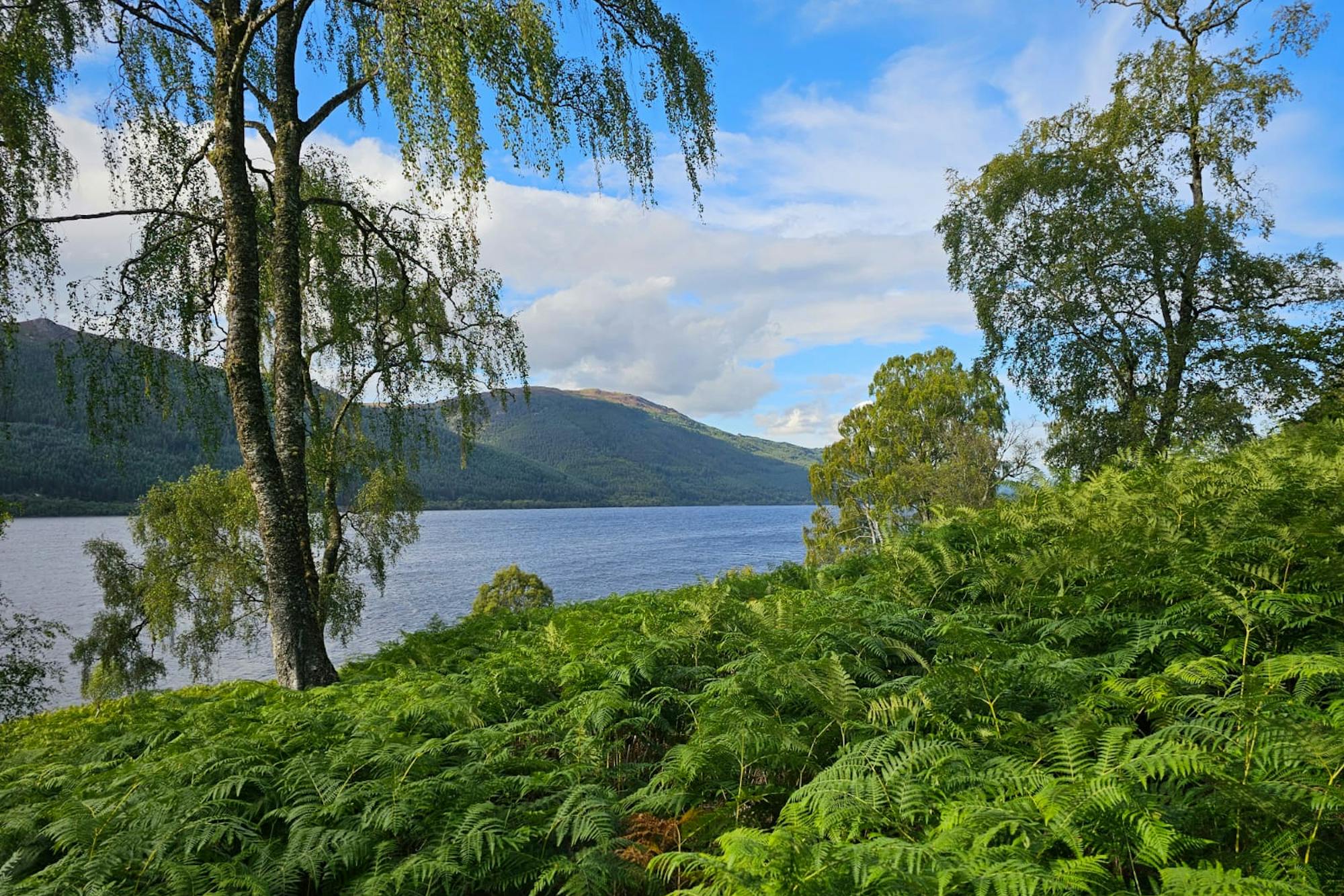 media_YUFXHZ3F5HAAQME2