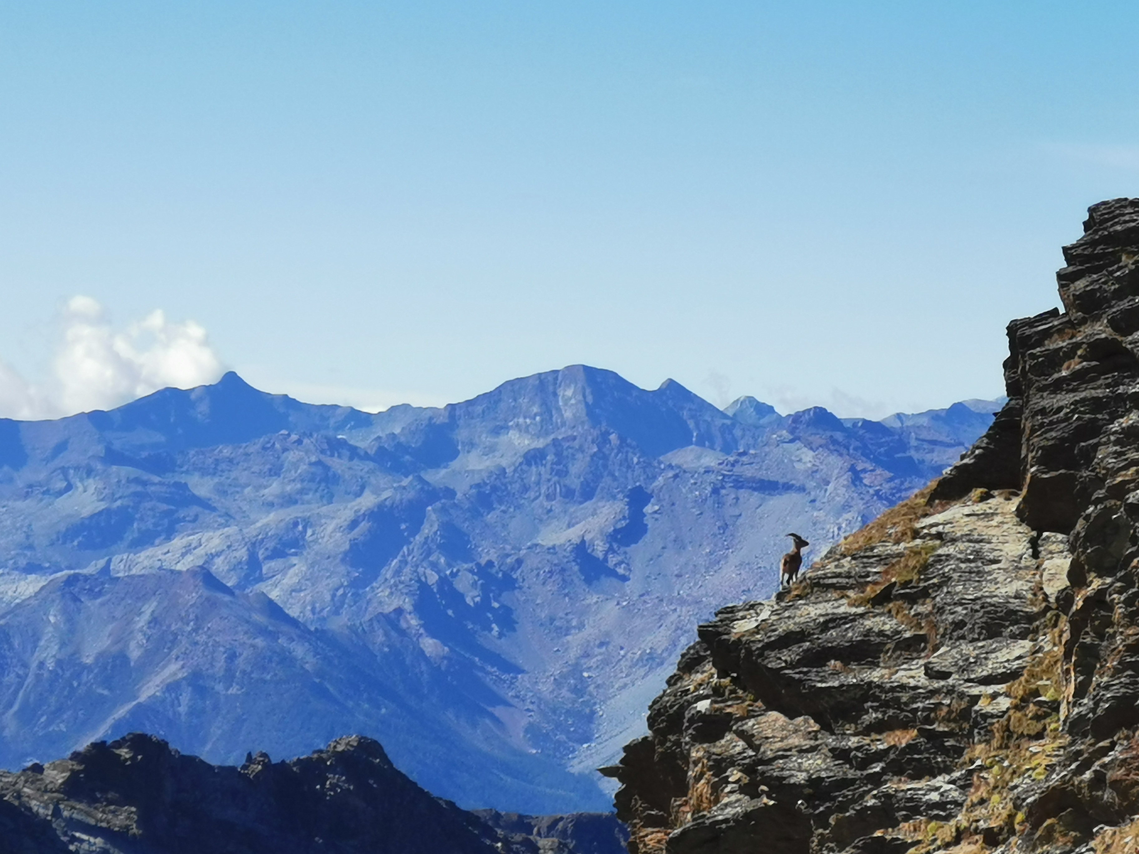 media_6JVLHKPT2GMV6ZJ8