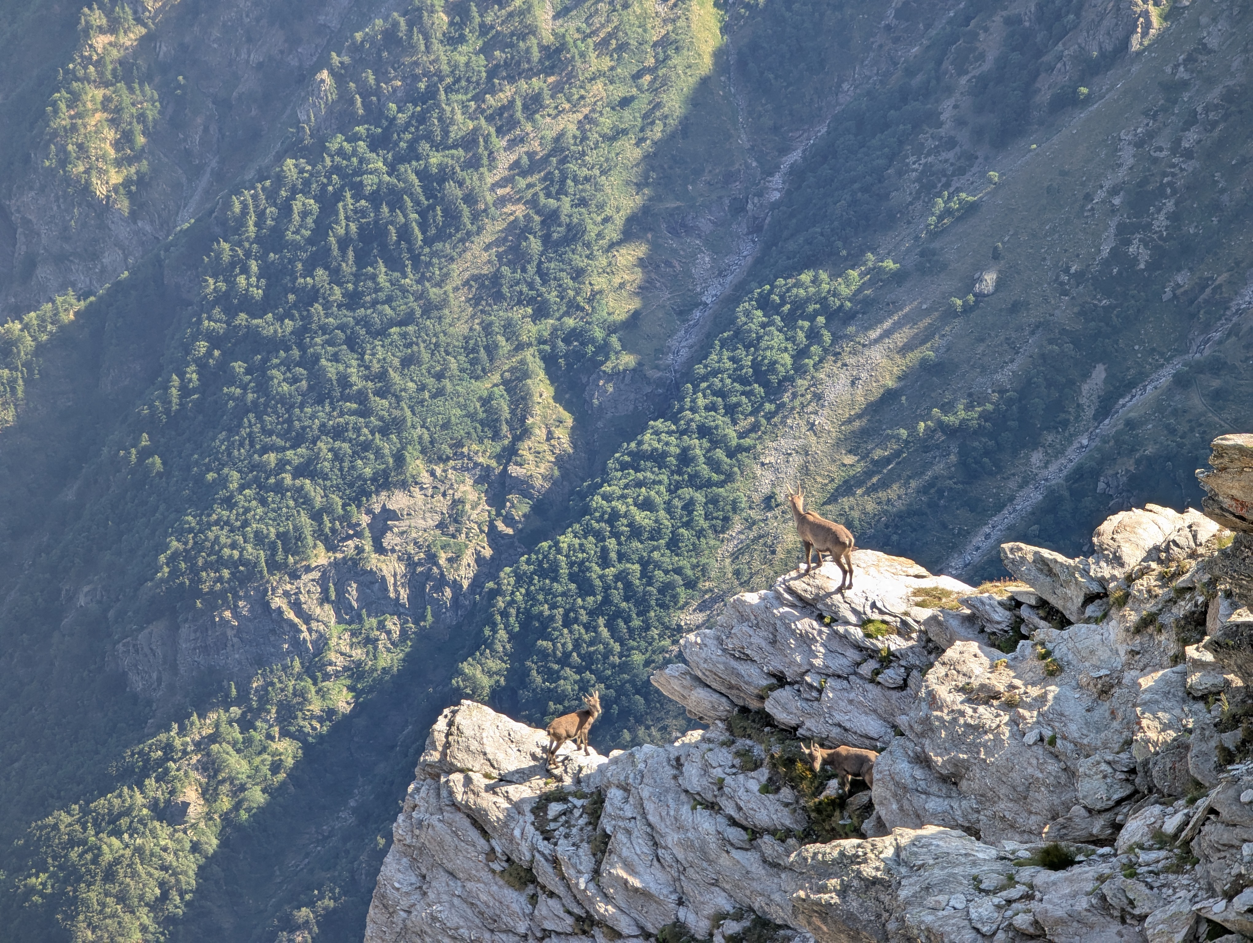 Wild Tour d'Ambin: A Remote Alpine Adventure