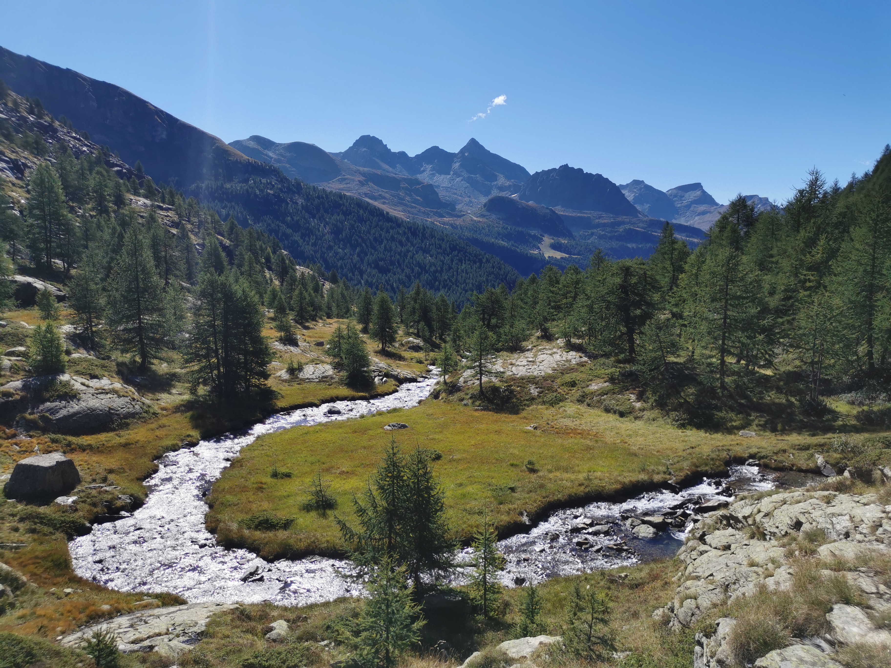 media_D2C8G6P2V2AQ45E9