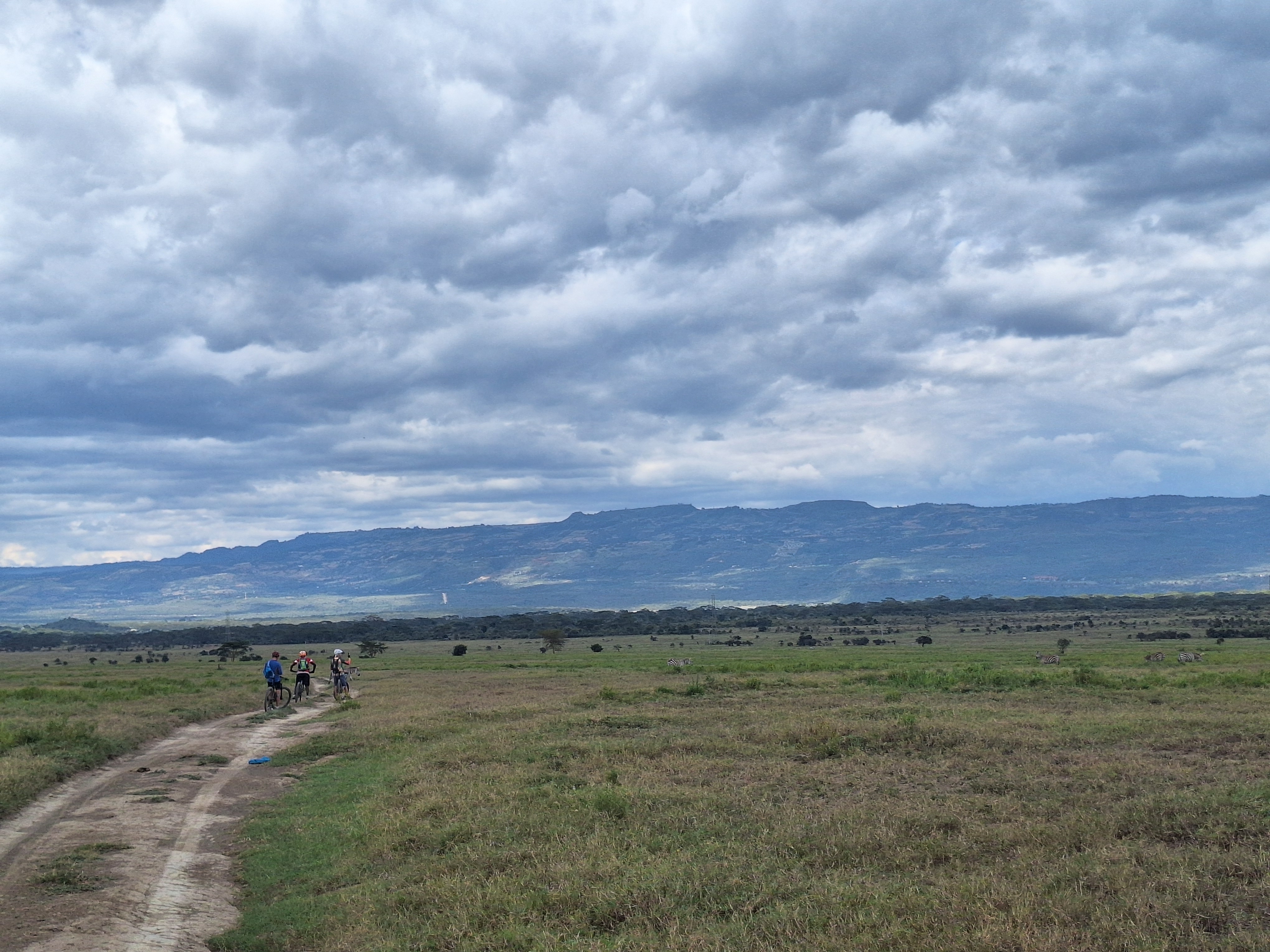 media_2YCPMPE4PEWNFWHZ