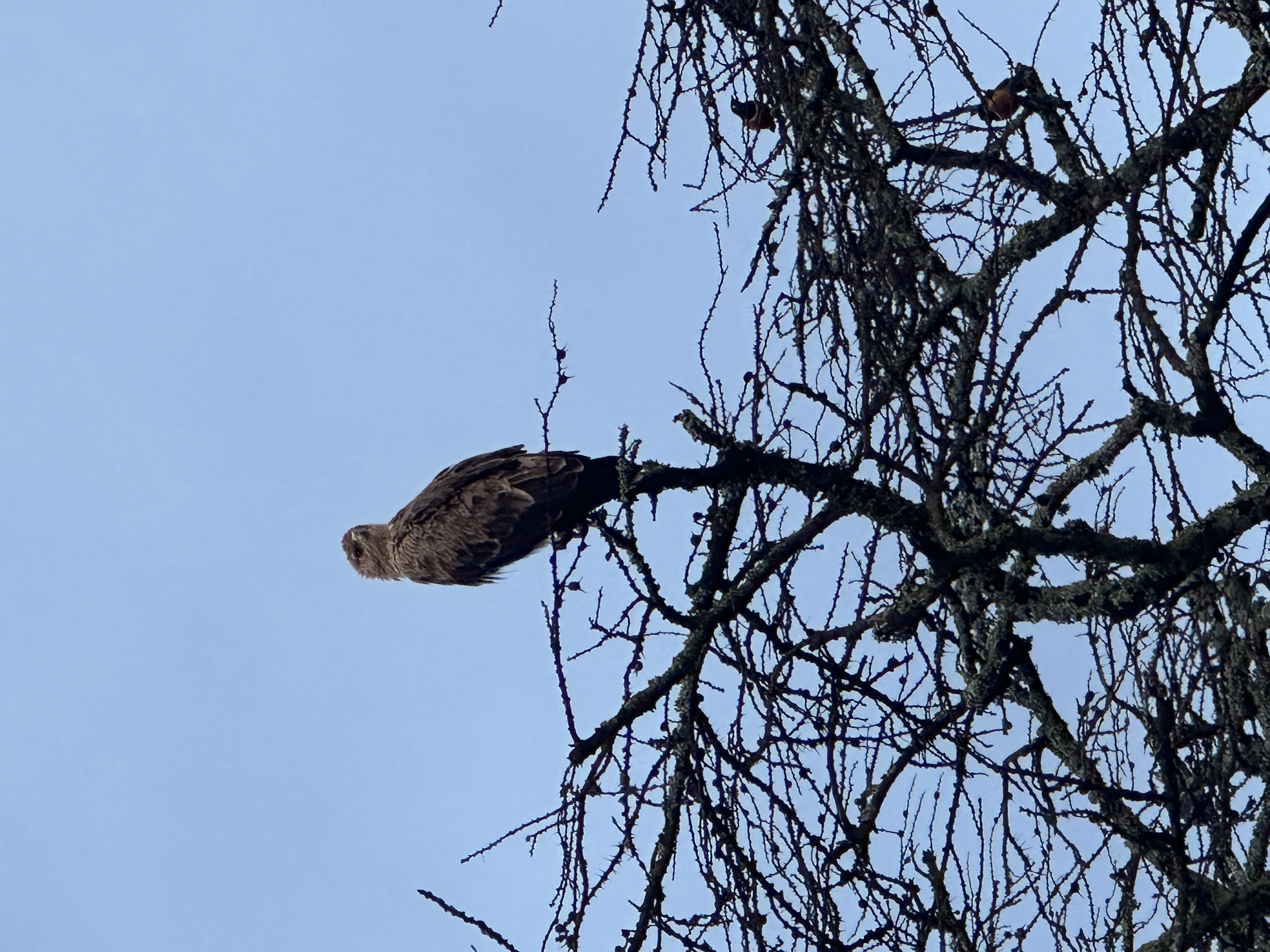 media_6QGALUUBP9EPLWU5