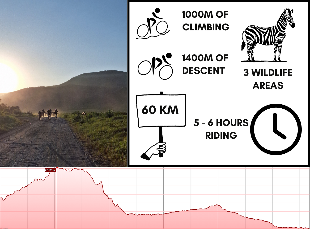 media_7C78P96HHB38SJFX