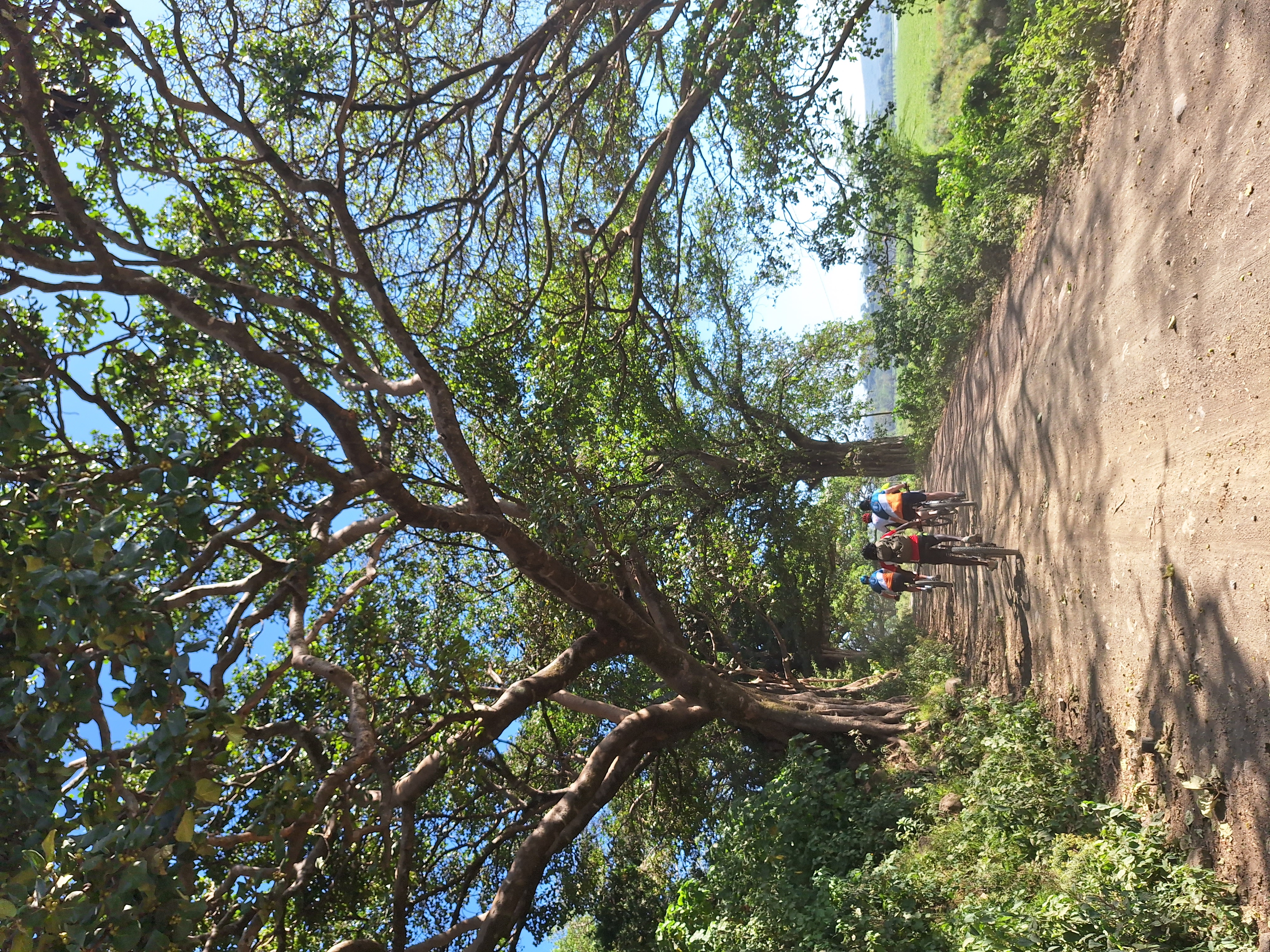 media_89AQ38SAV95HE59B