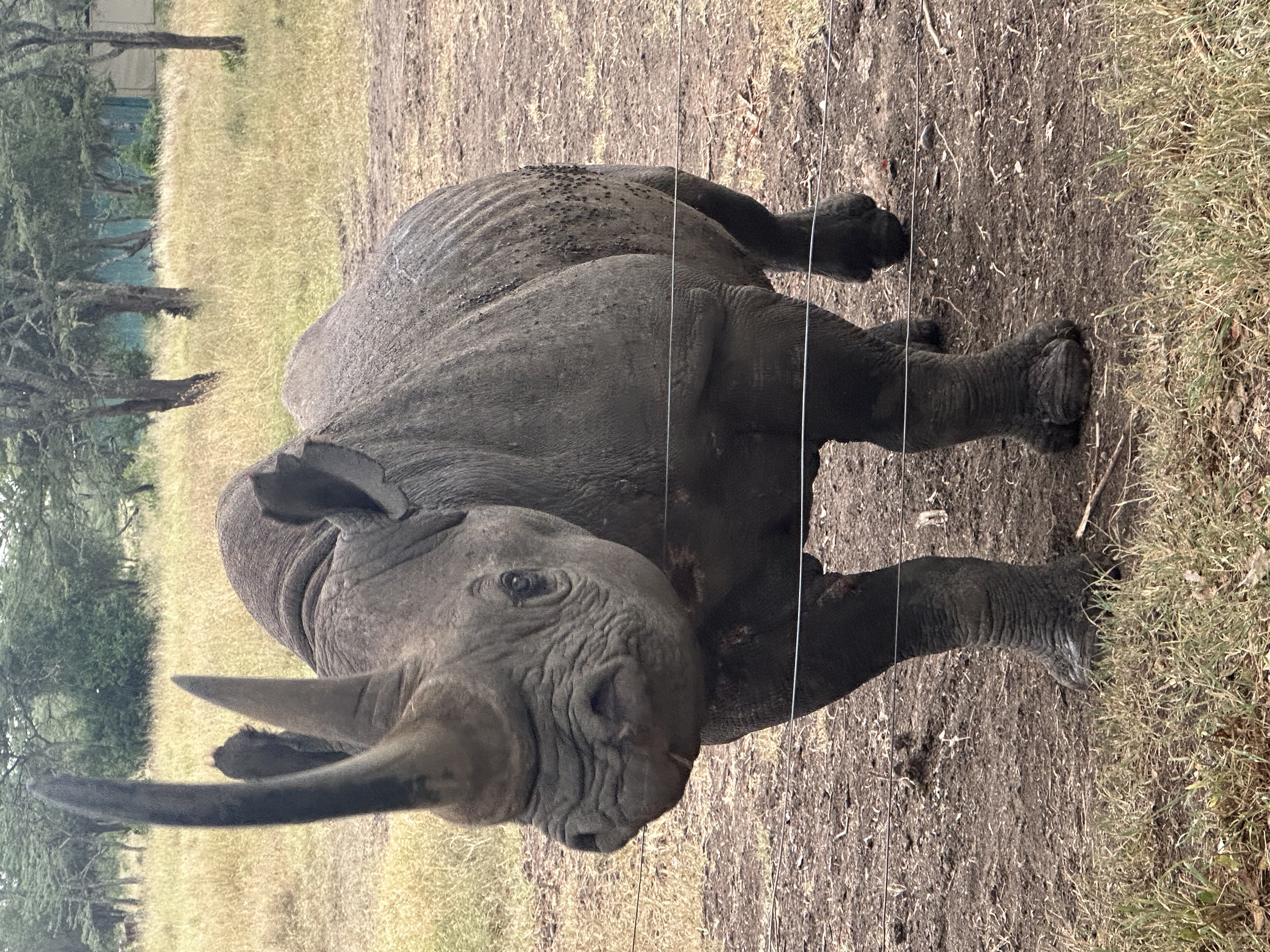 media_8BFST5A9DKBZQWPK