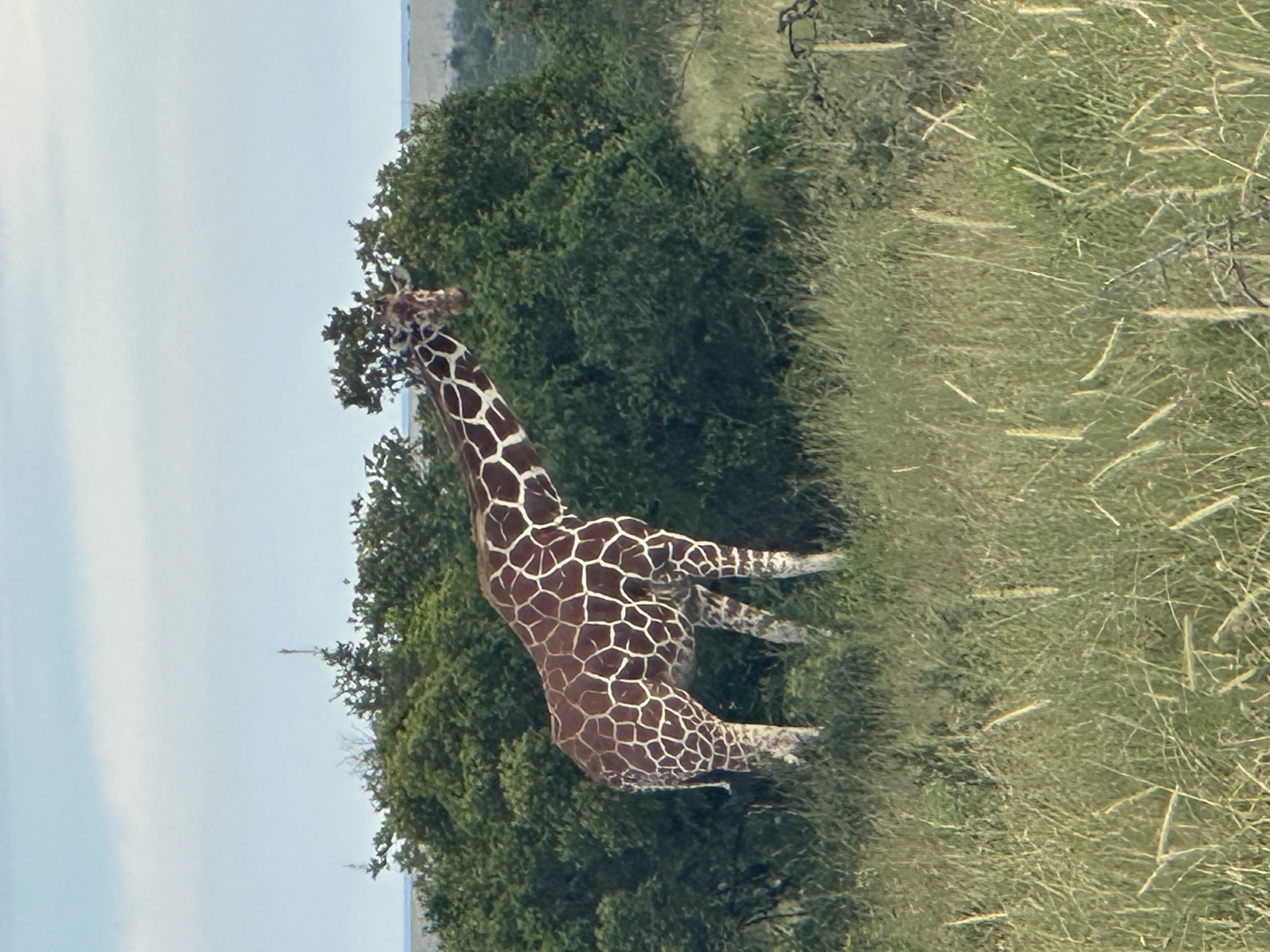 media_9BNXAGJP3ARUCKZH