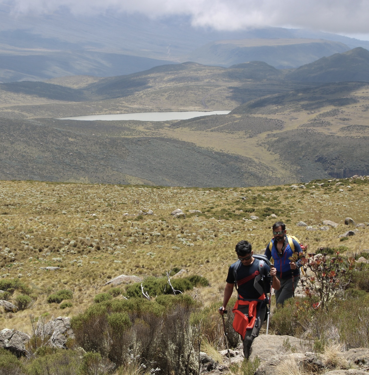 media_AFQDSW3V6HU2VU7T