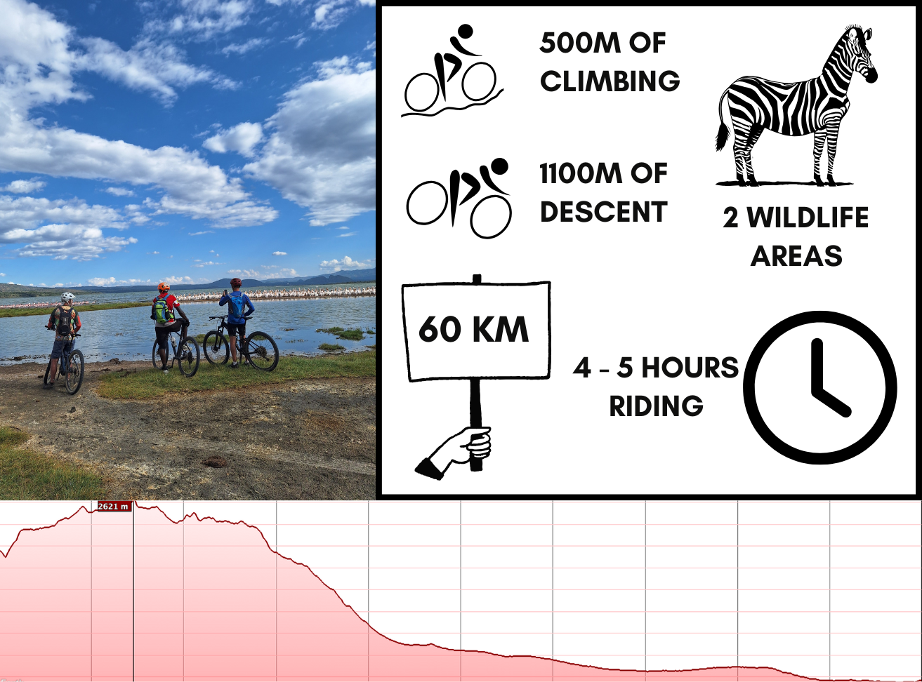 media_AYLTPE7YRBE3EPK6