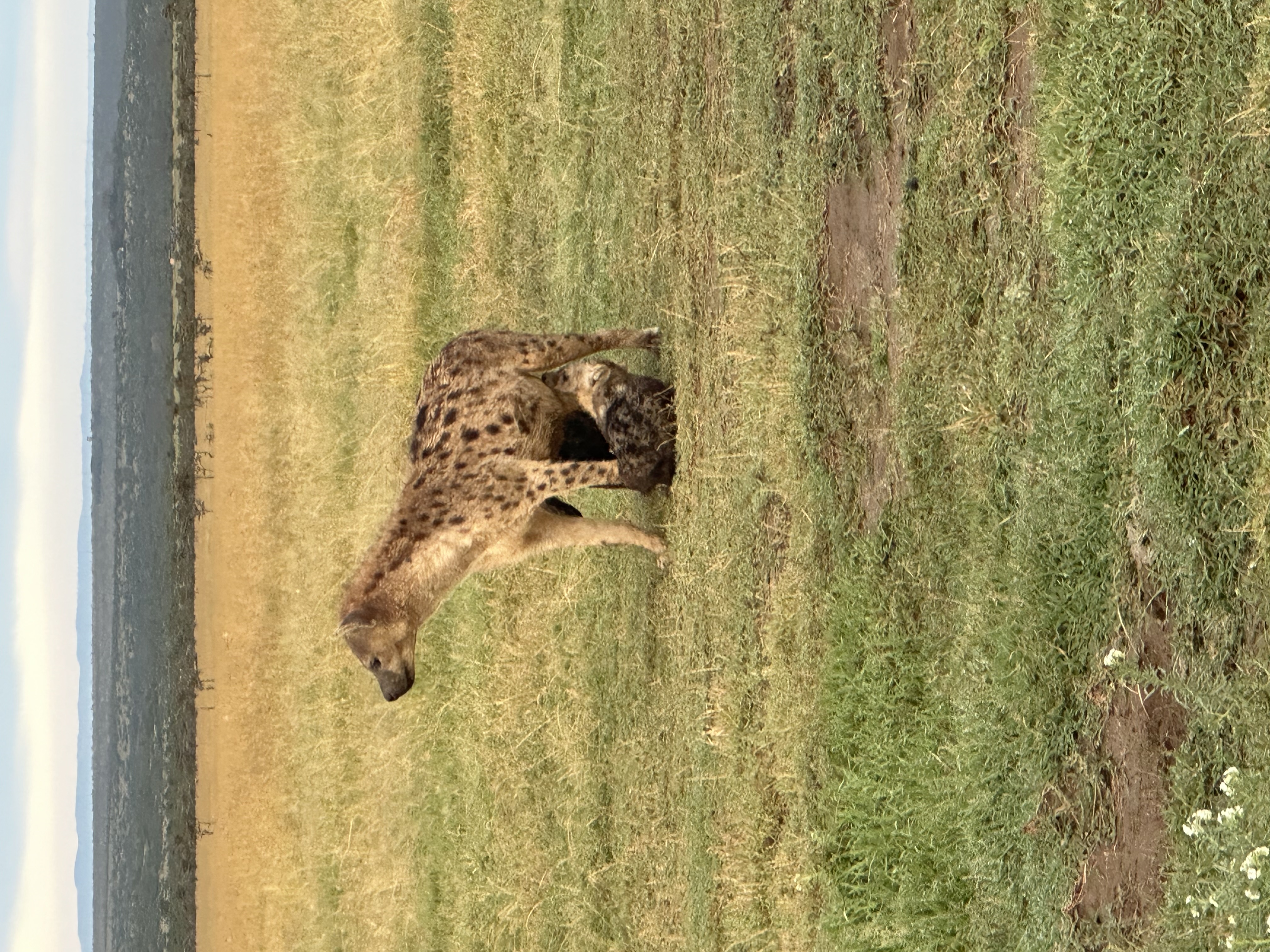 media_FHUPF4E4ME8XP2DJ