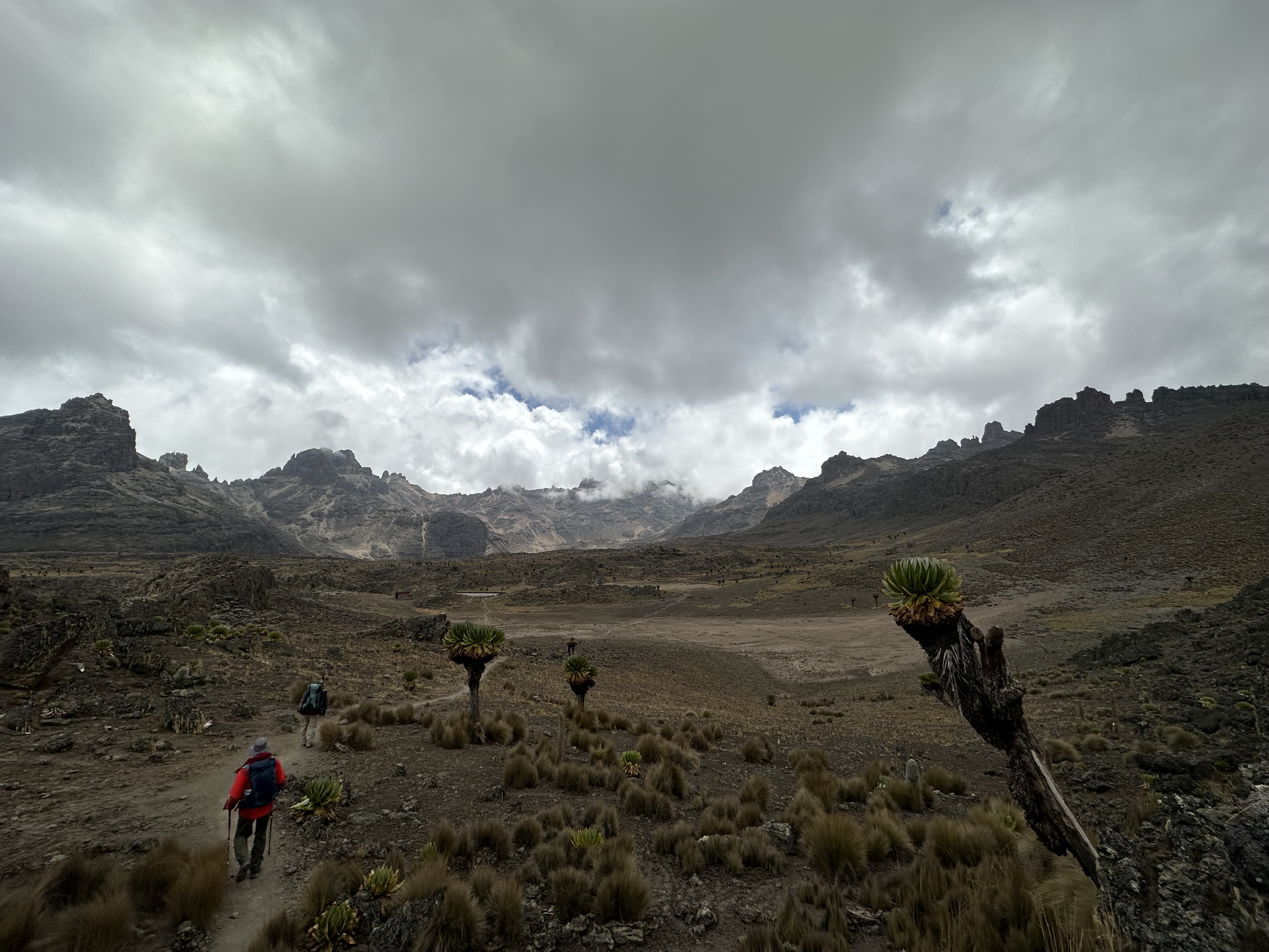 media_GYZJHA2X87PF4AFT