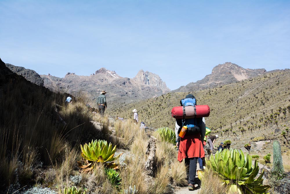 Trek Mt Kenya (4,985m)