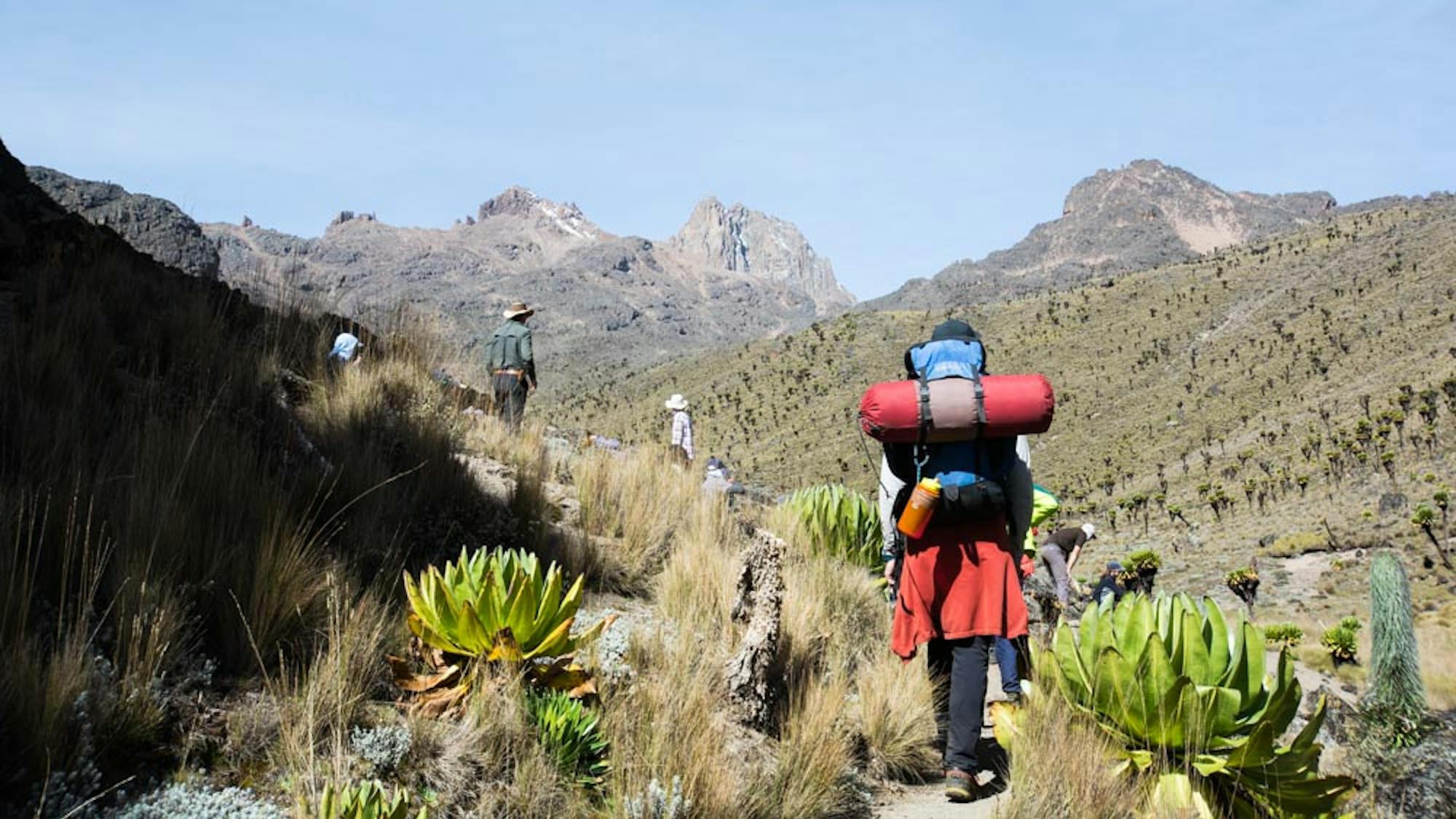 Trek Mt Kenya (4,985m)