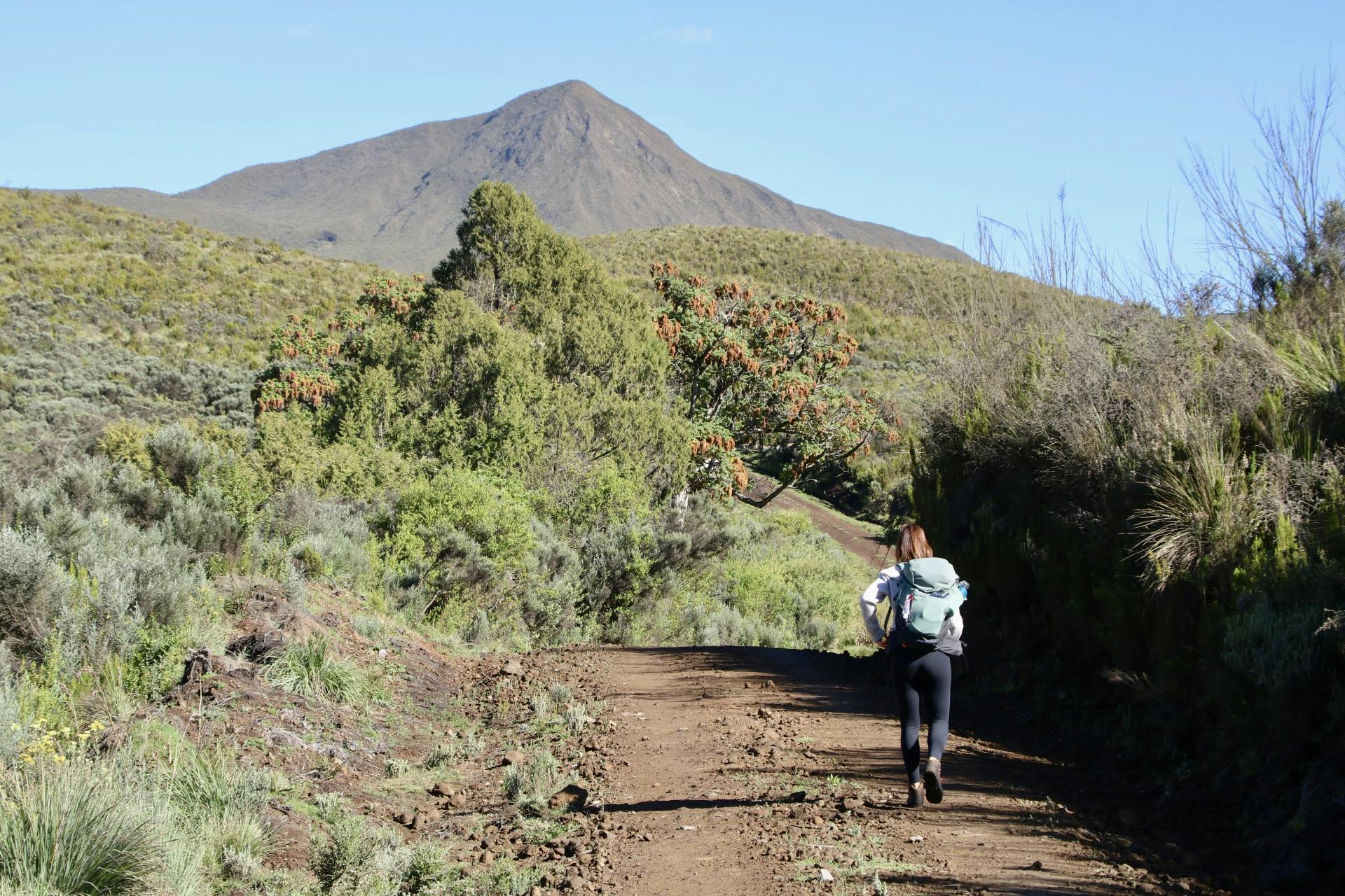 media_LMDLJM3XA4PLRGHP