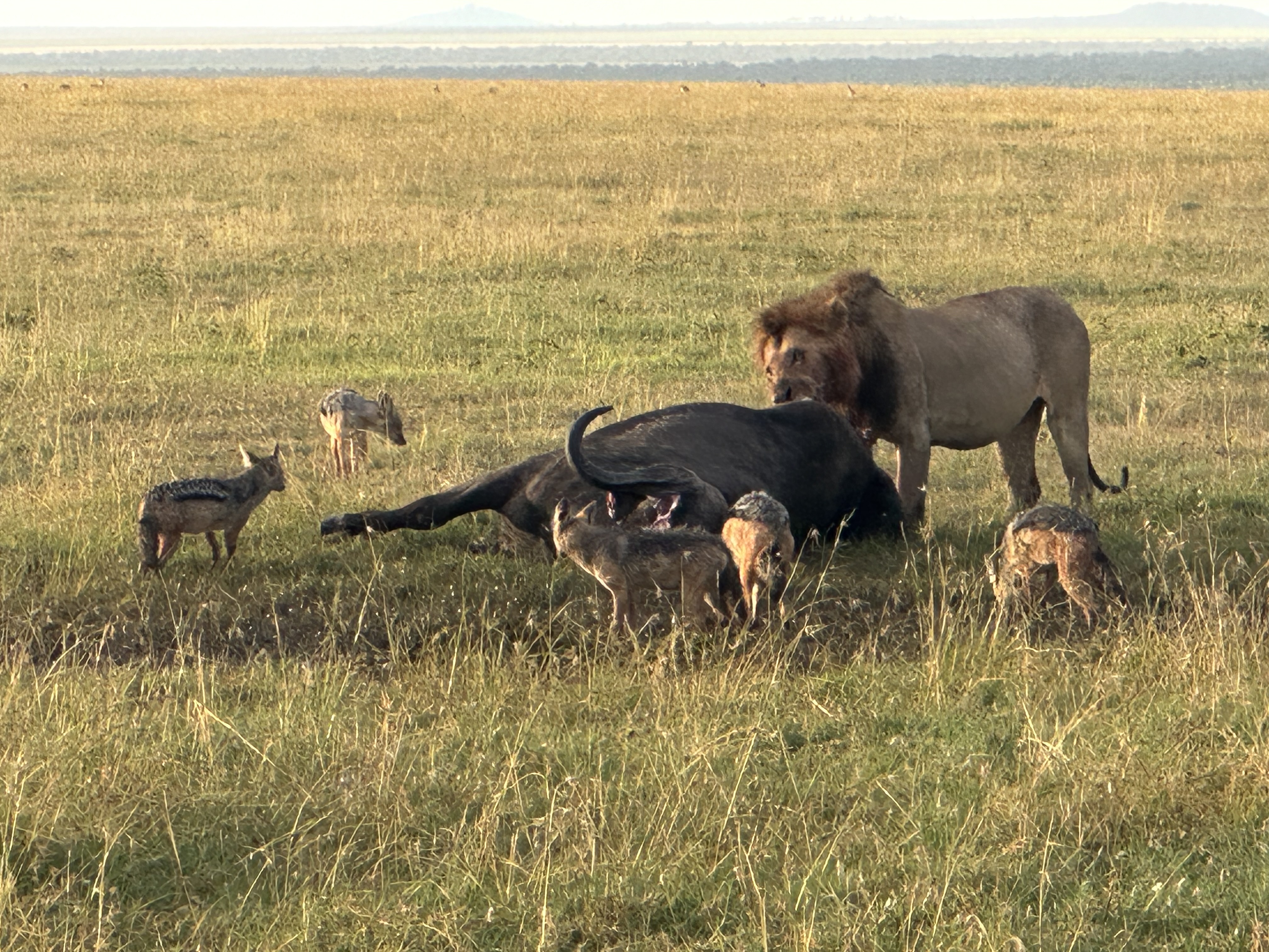 media_M4826WCSRCW423NA