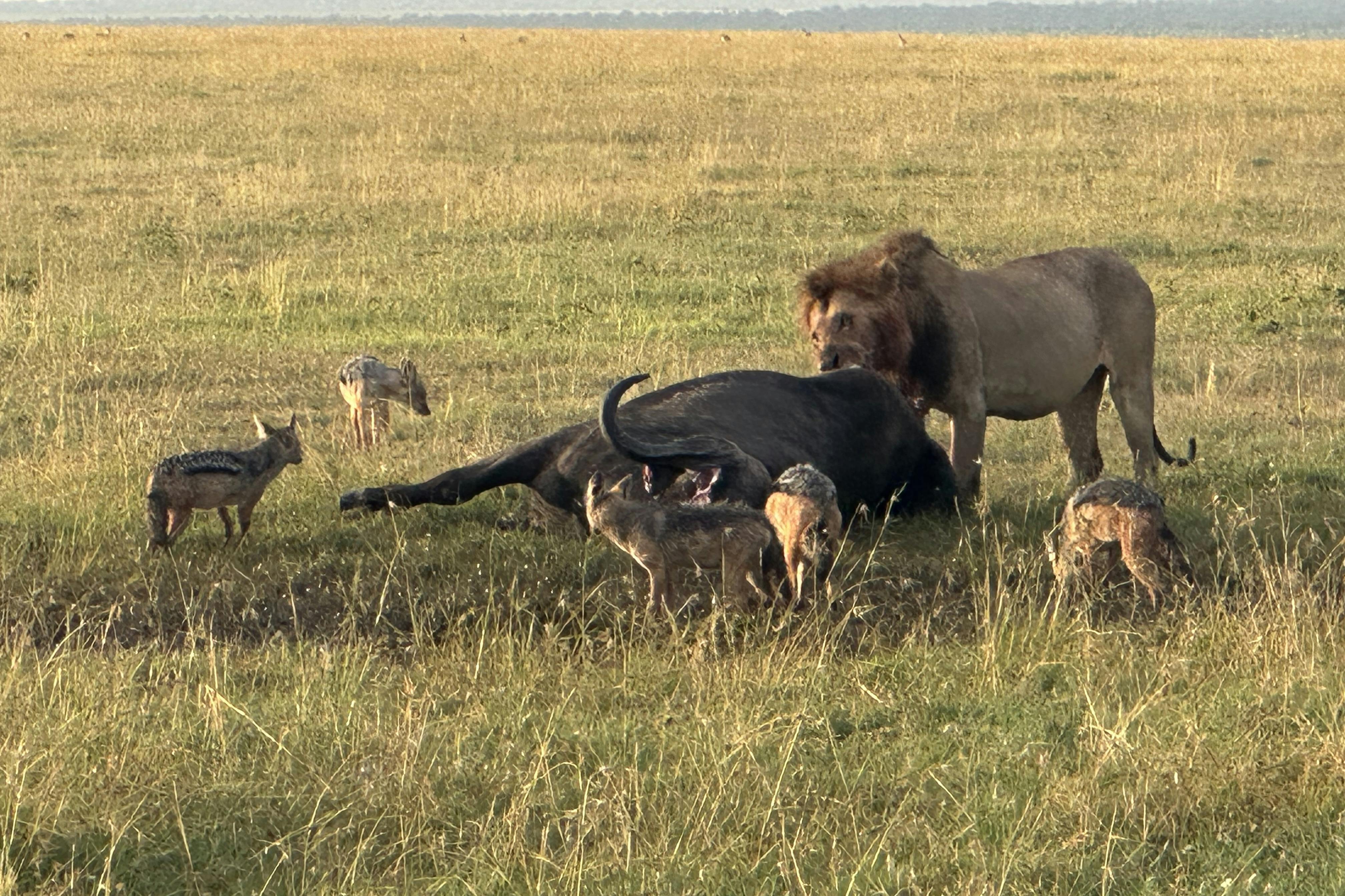 media_M4826WCSRCW423NA