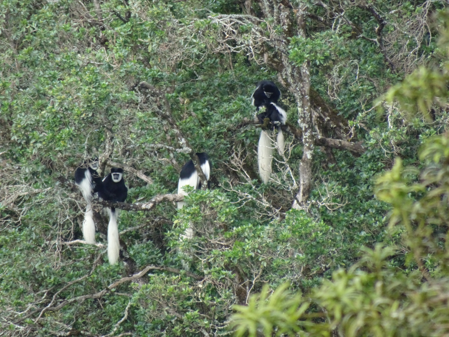 media_M5DTE5KNZL9Y4SJU