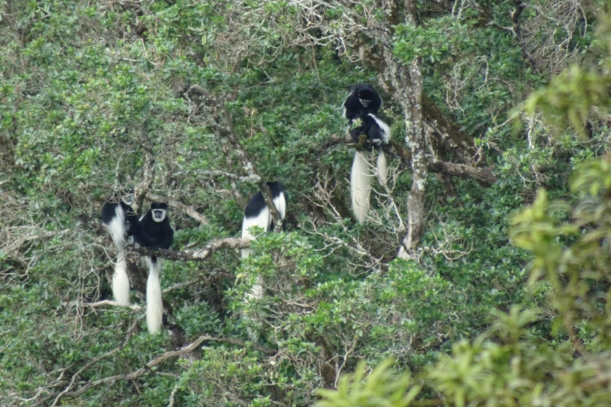 media_M5DTE5KNZL9Y4SJU