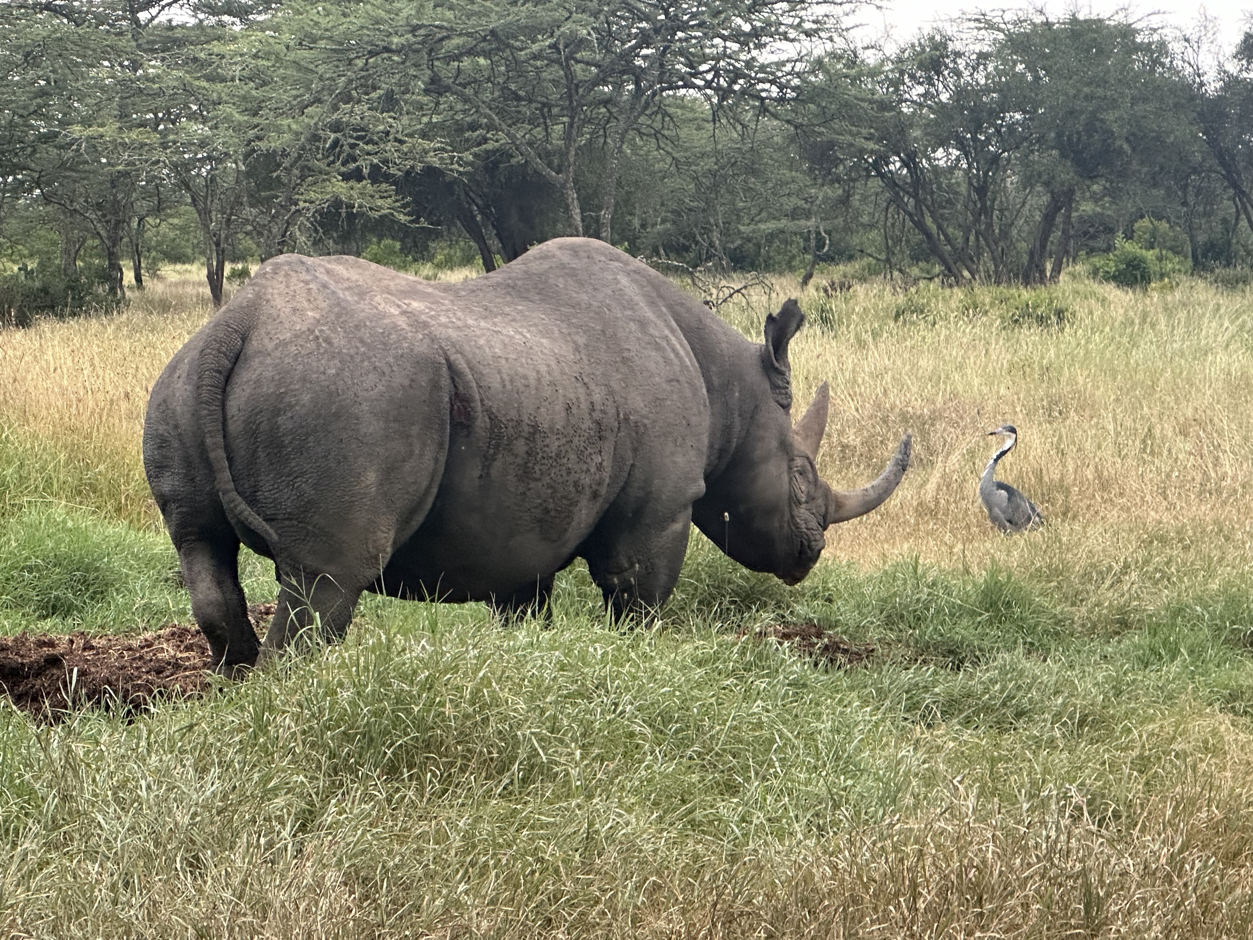 media_MK47D2V6KNE8GNJ6