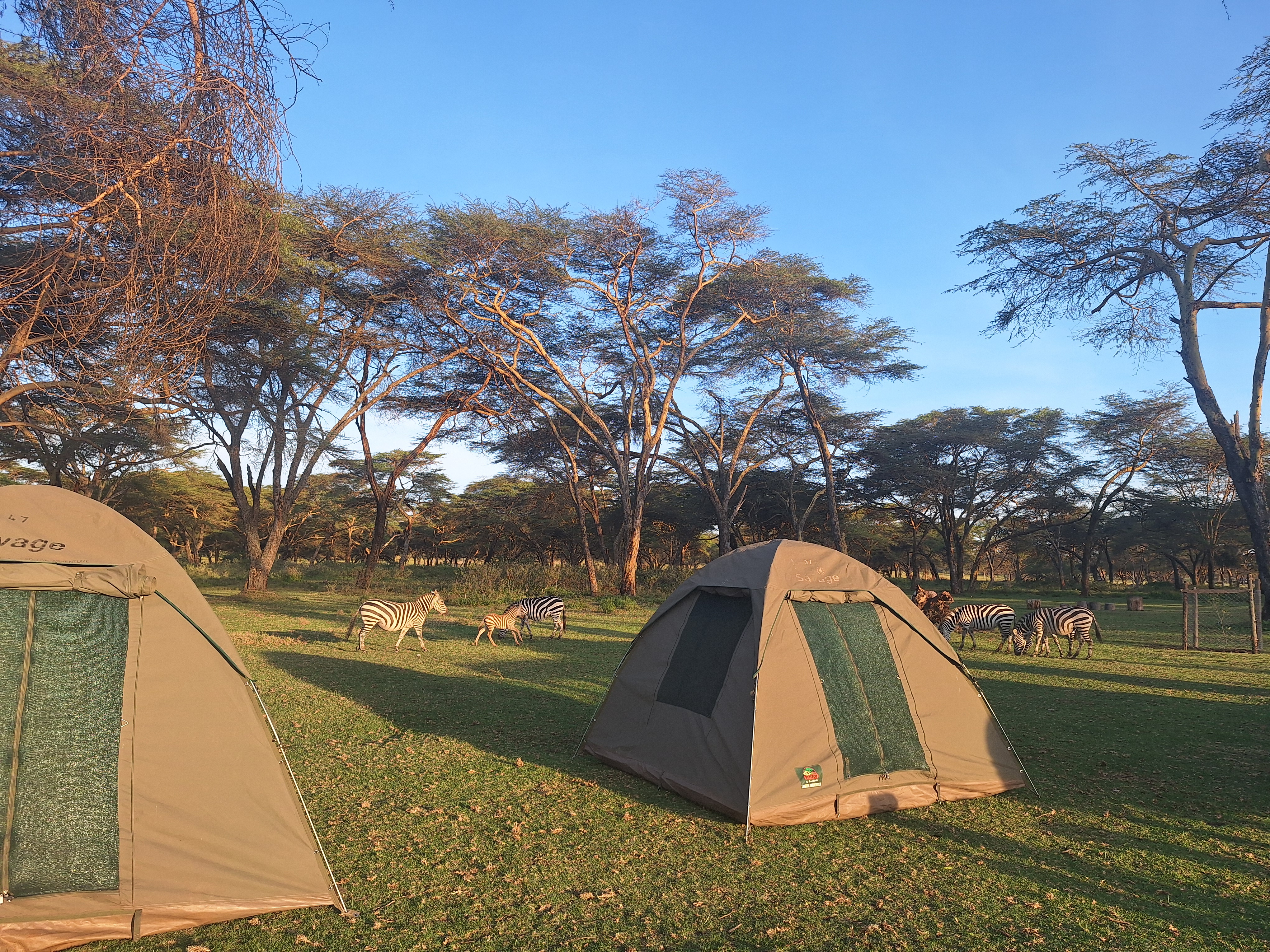 media_T2SJEP8T5NFHRJST