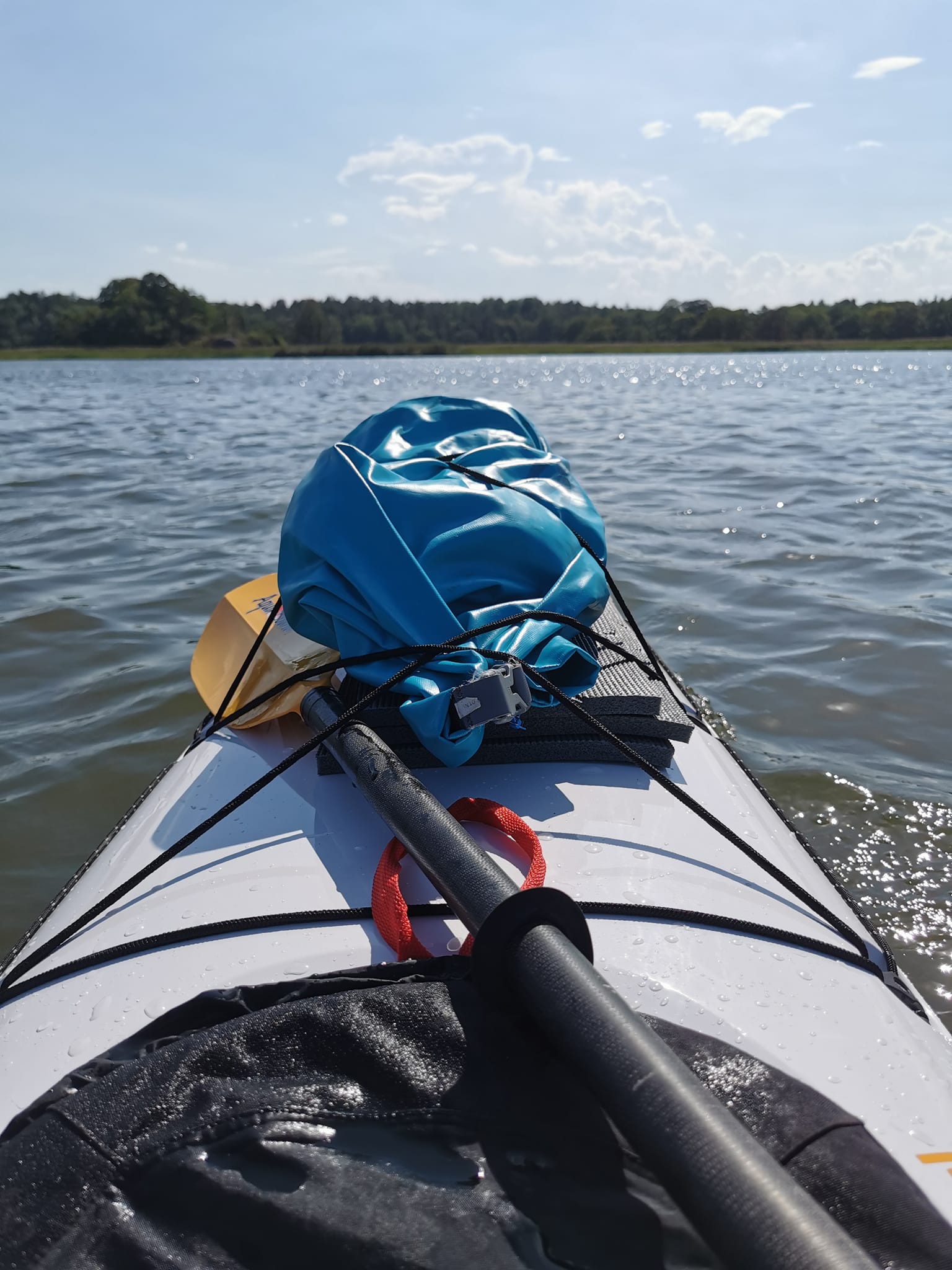 media_43E47KYQVUWJZLVV