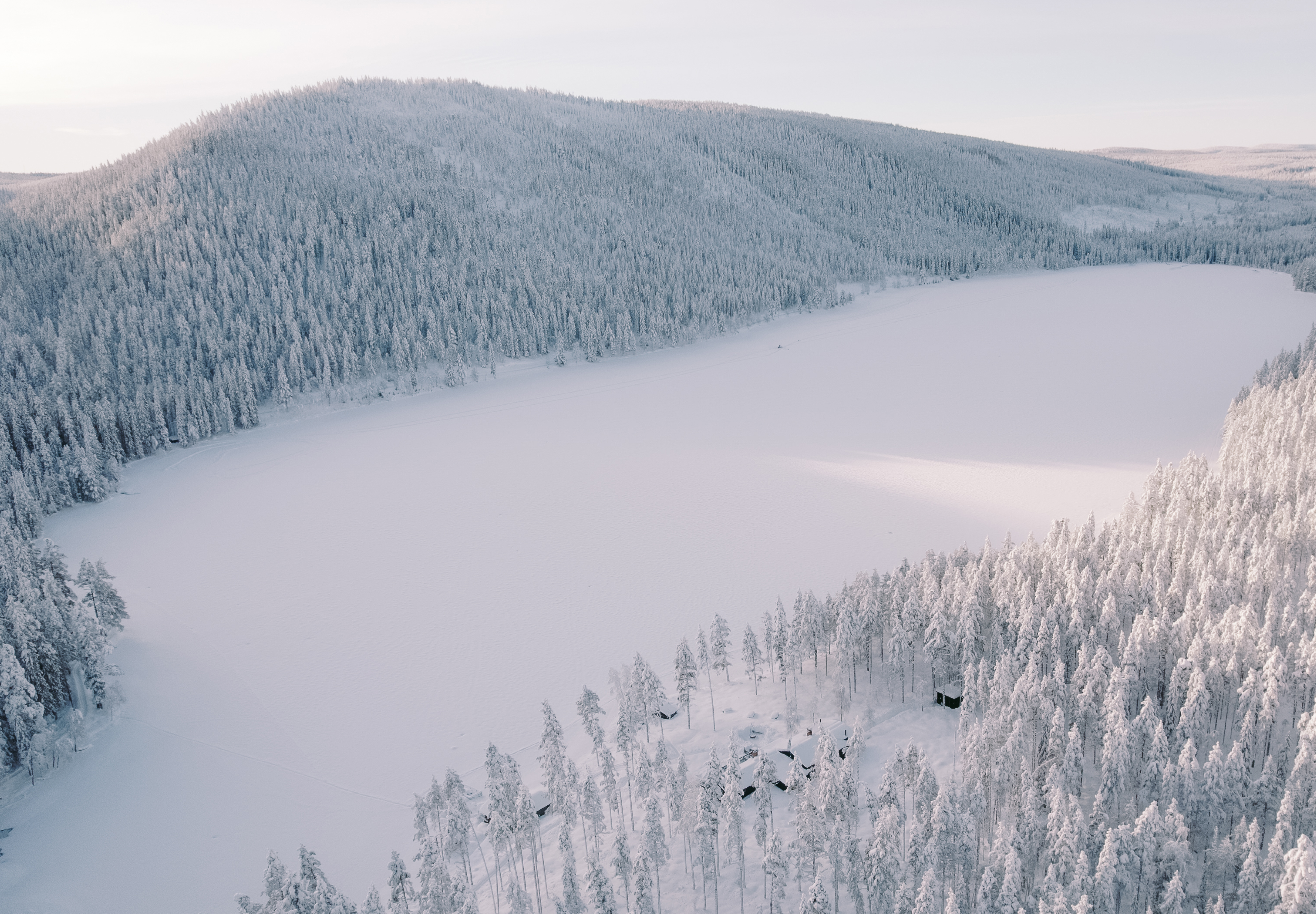 media_6ER8JUMFNY8N9HL5