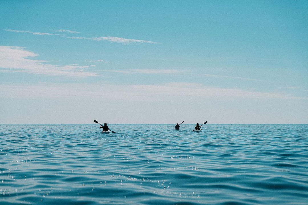 media_6XYQV8ZMLHME3734