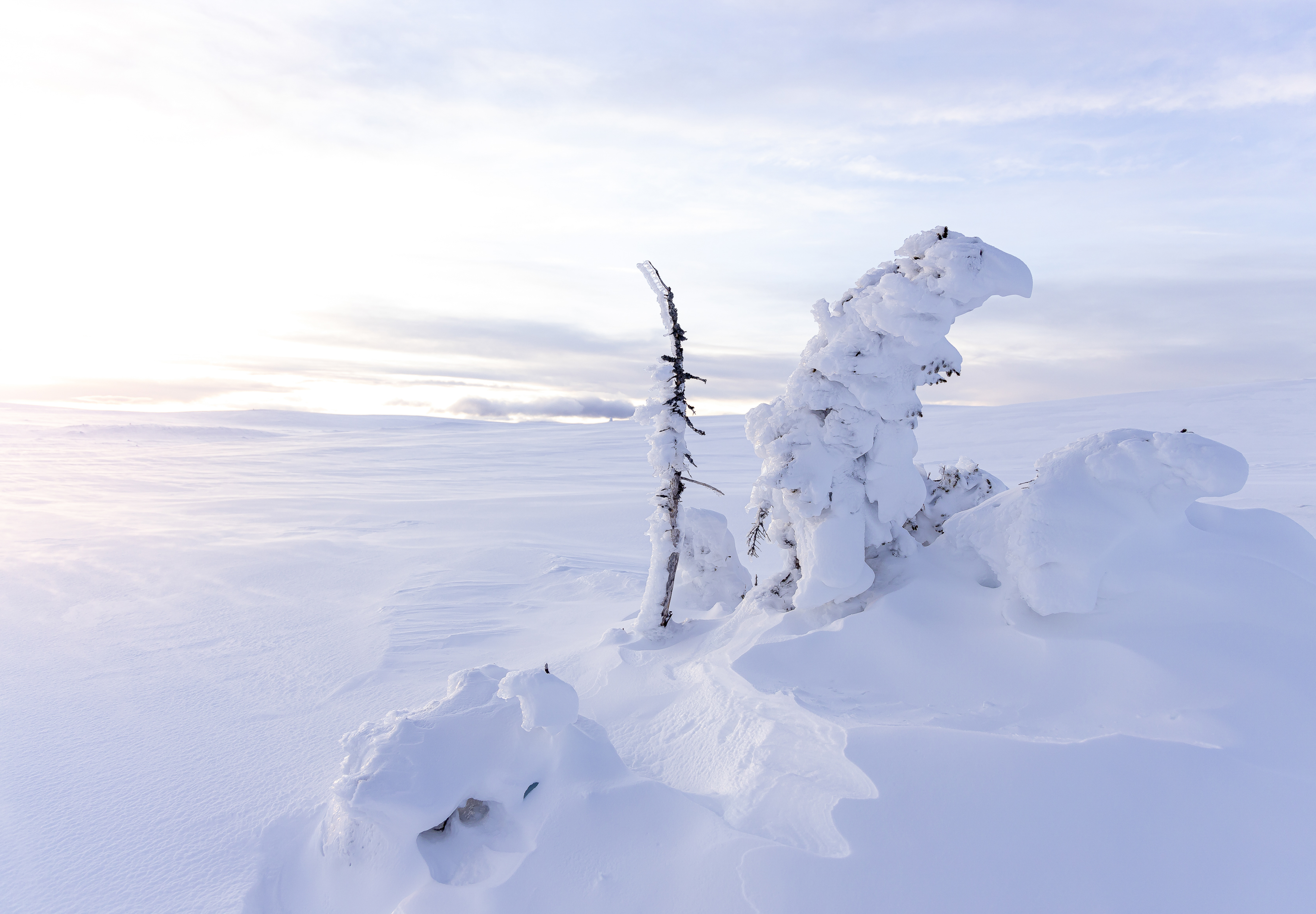 media_89ZMEADZ3RM4J6BX