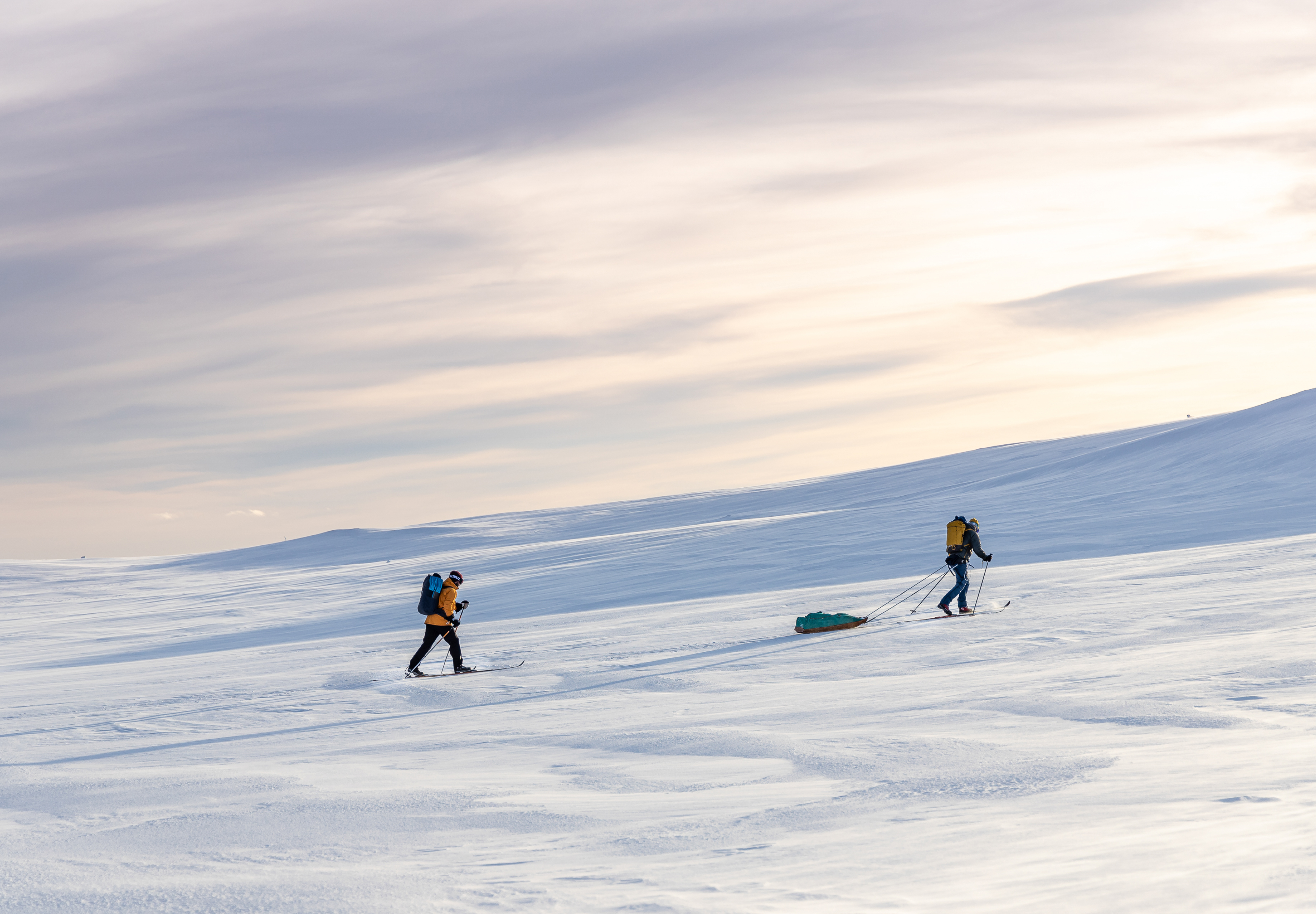 media_M8JDWMB6LZ9QP5X6