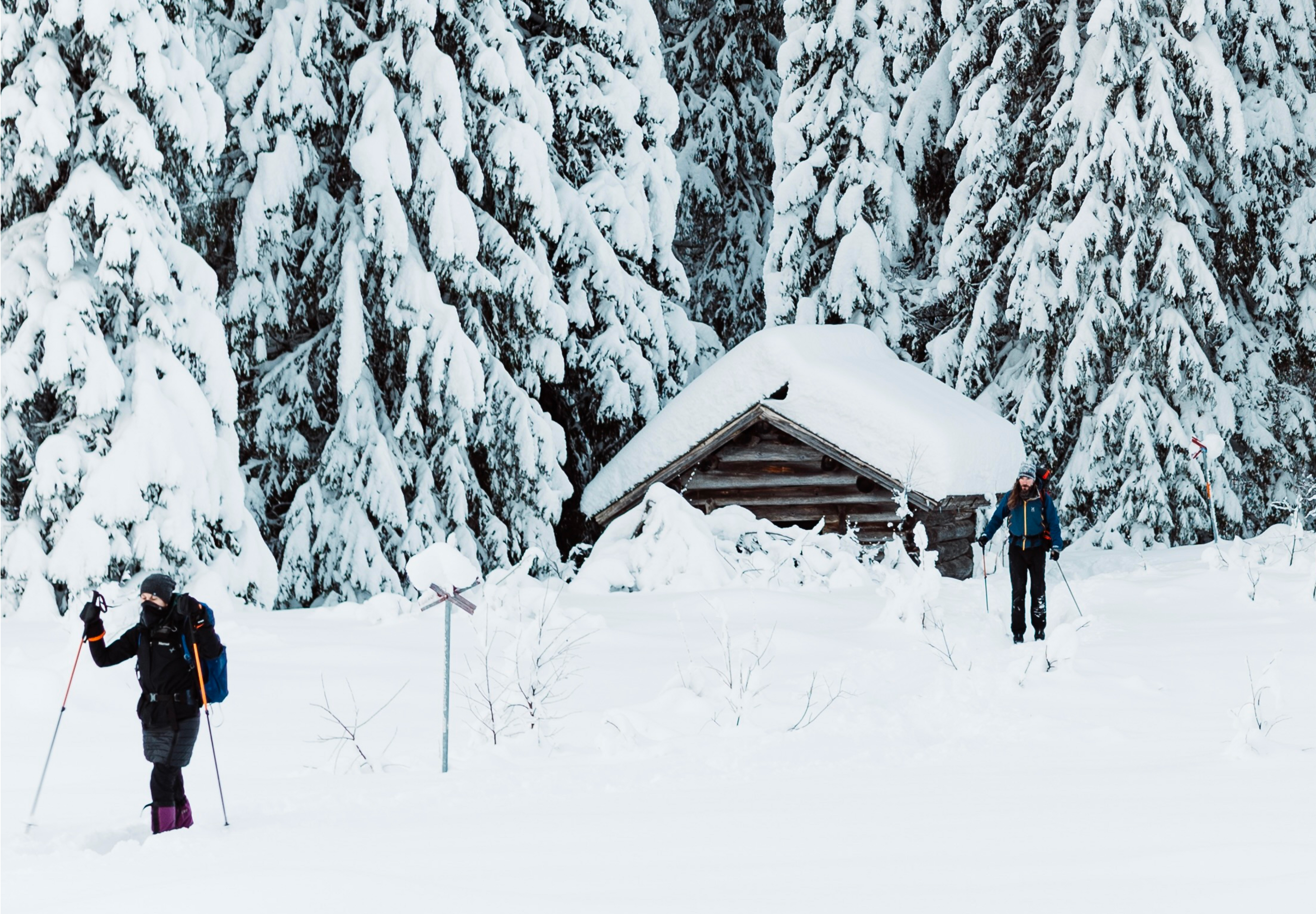 media_VCLGMVU5S5JJTNQE