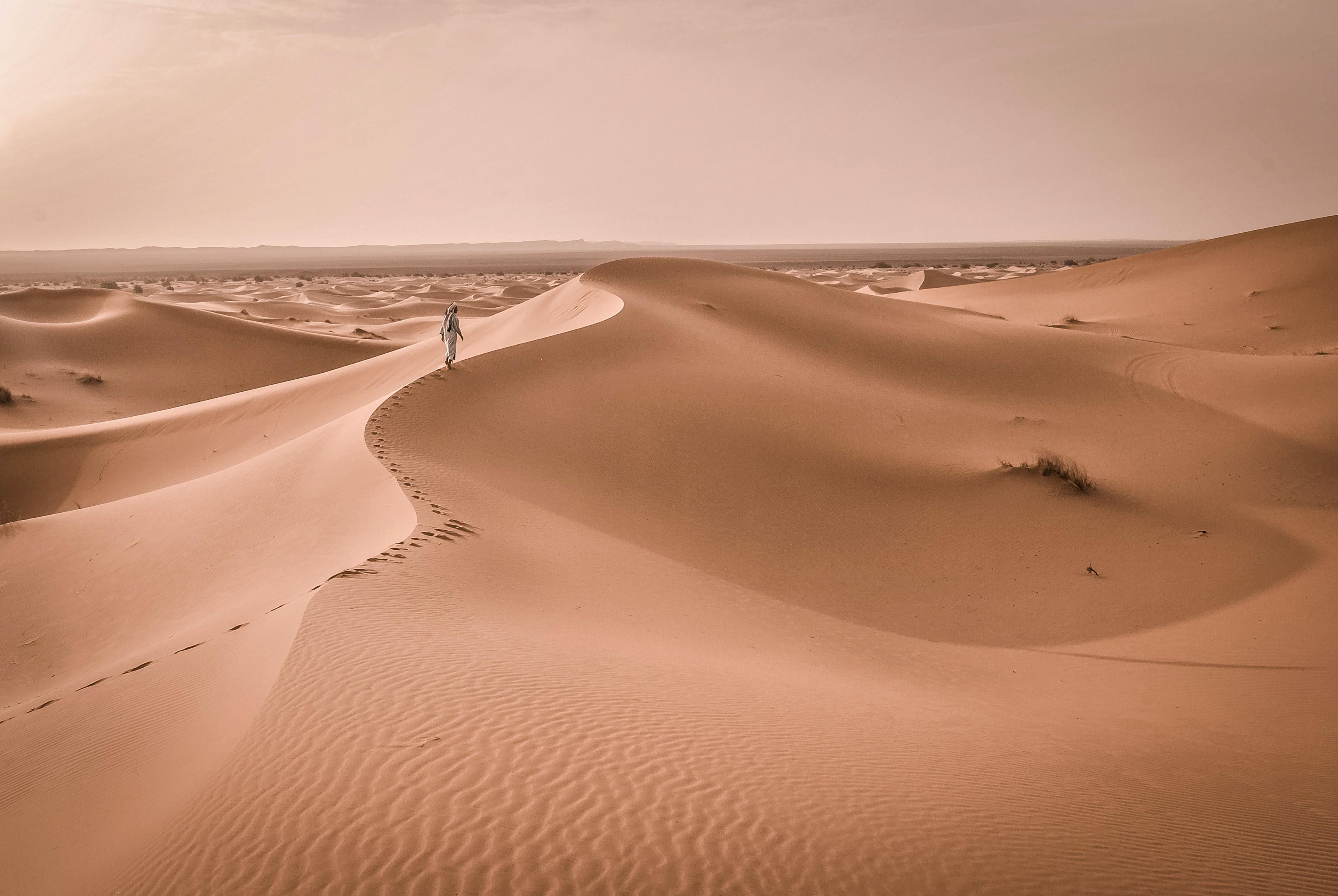 Splendours of Morocco 