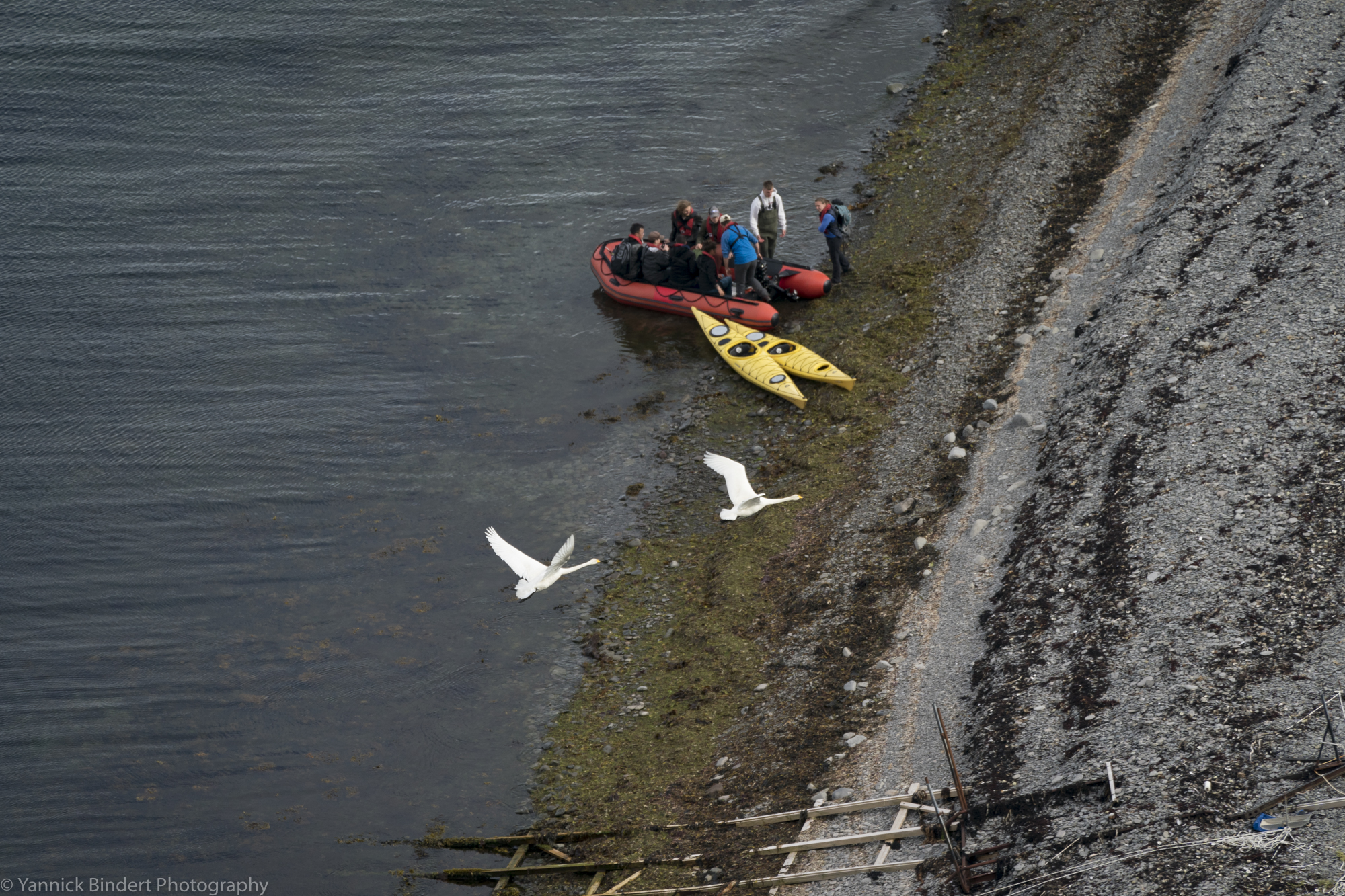 media_4YXFTZNDC5UW7B7G