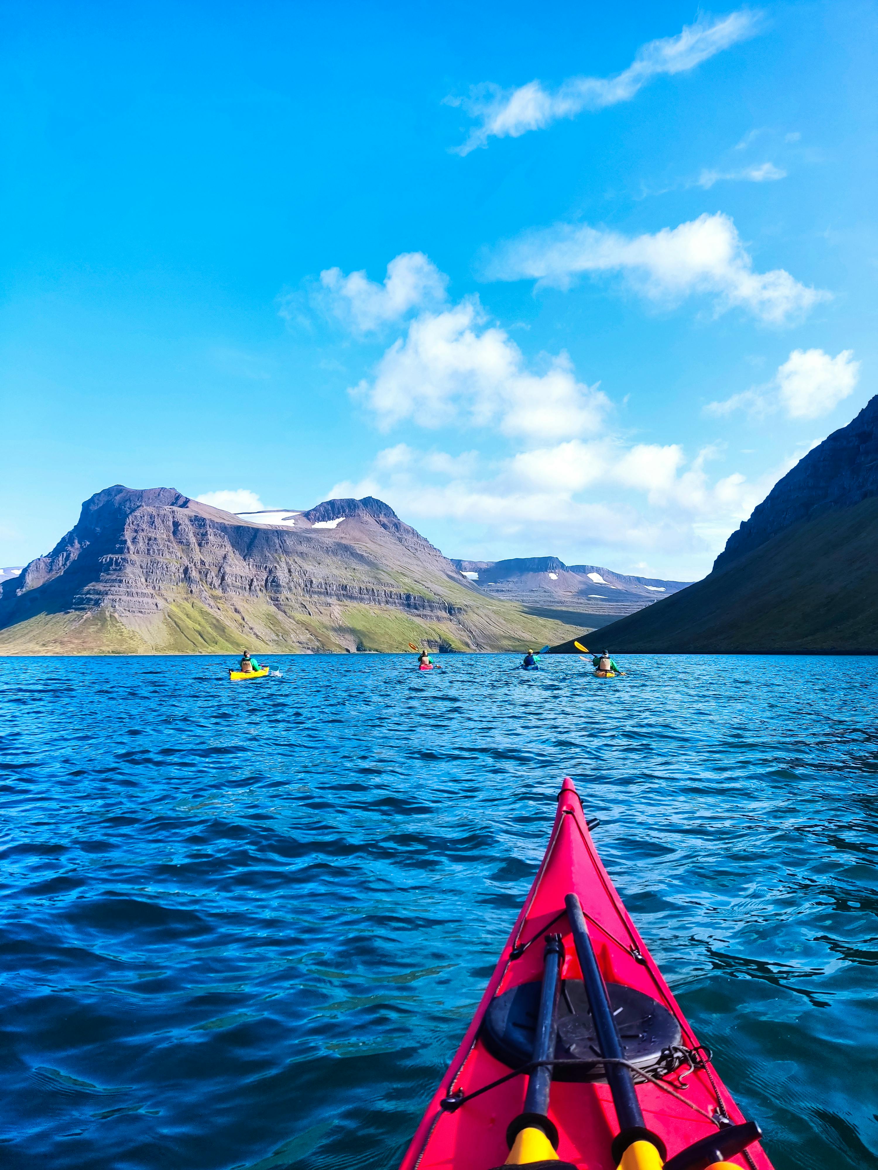 Kayak the Glacial Fjords of Iceland