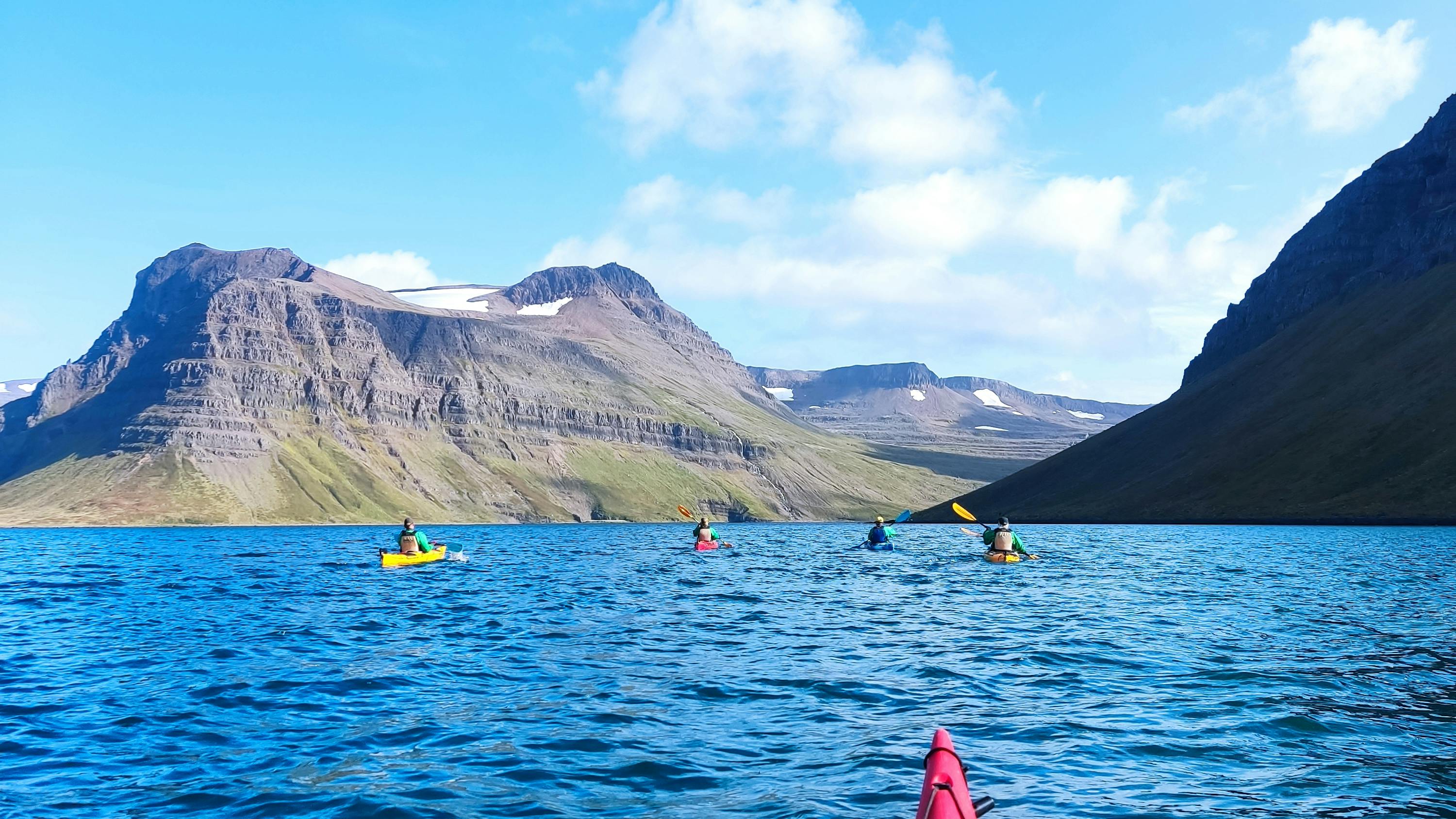 Kayak the Glacial Fjords of Iceland