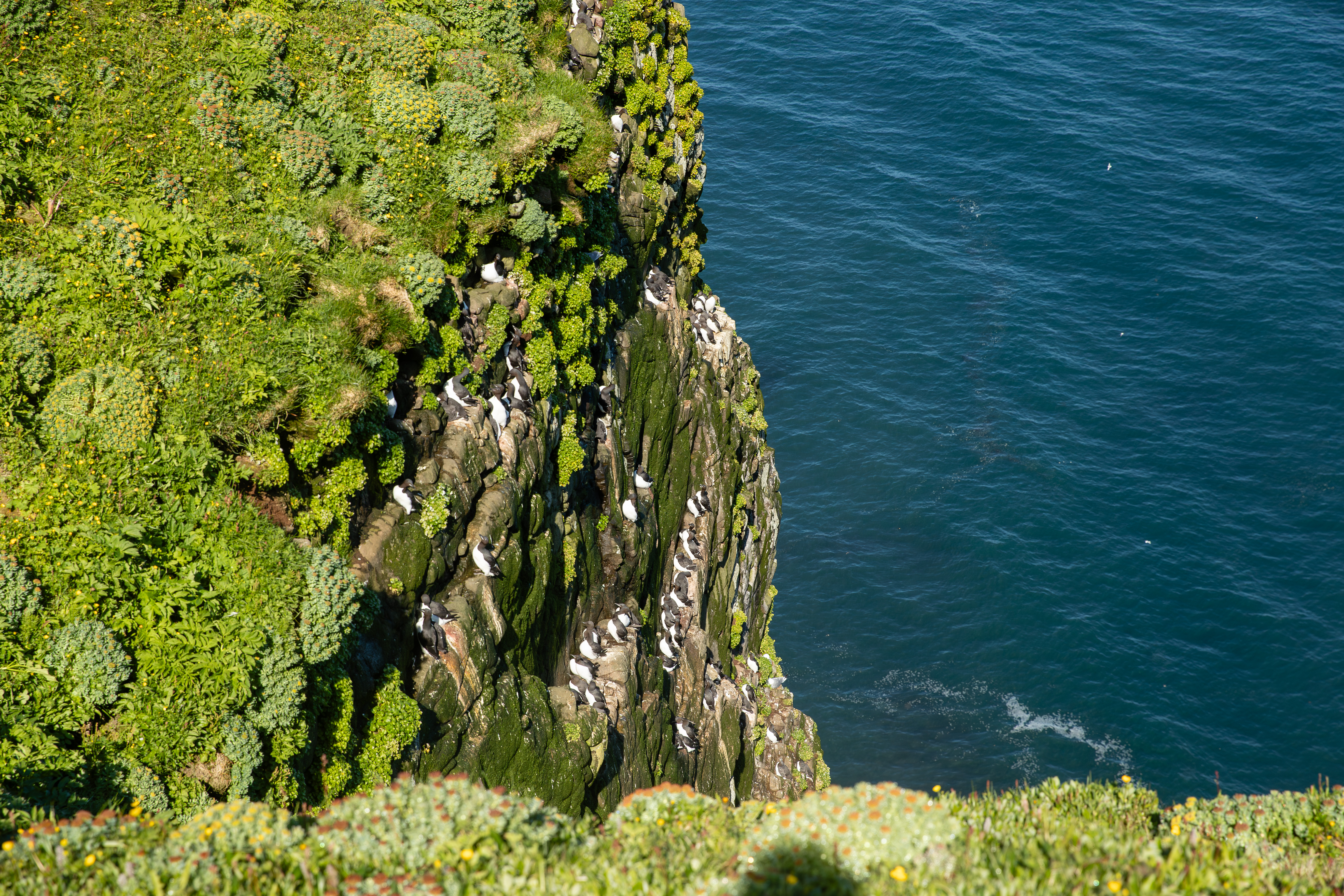 media_KZFL933KSMDLZPR9