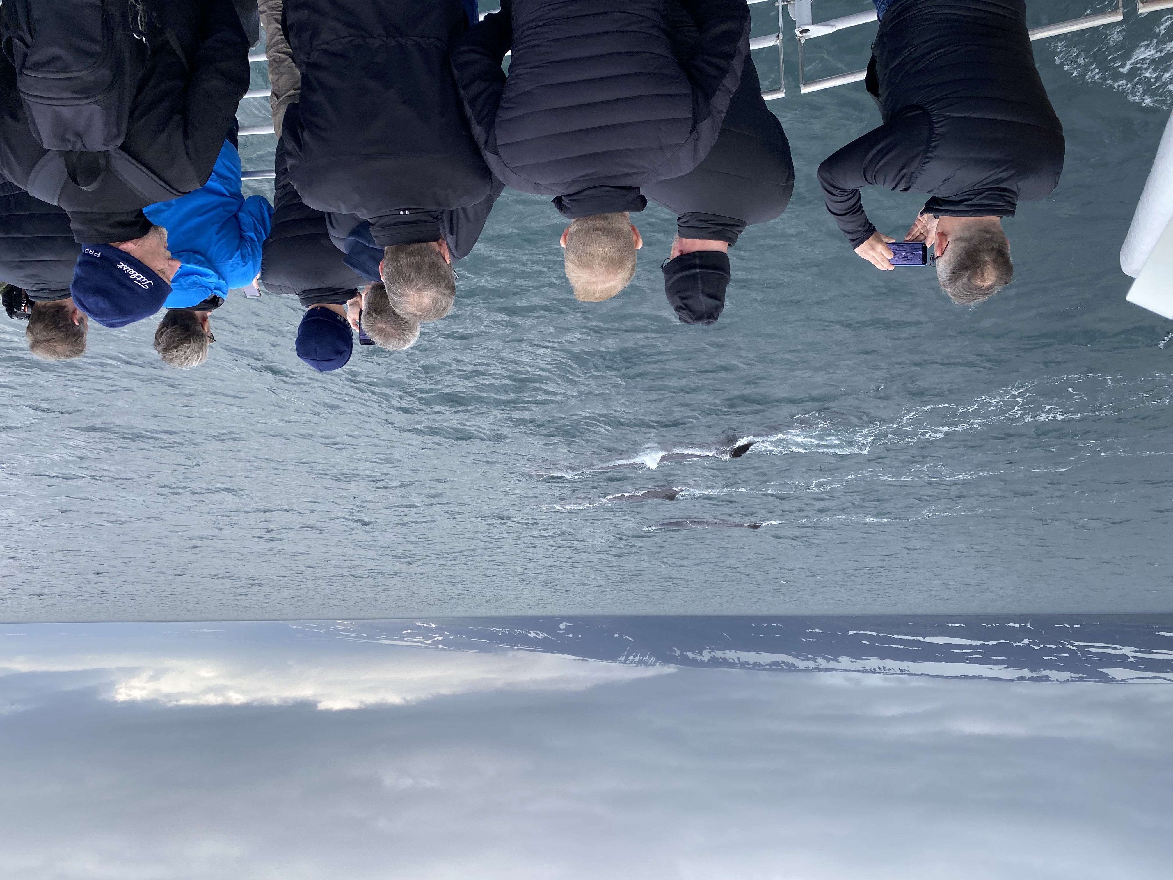 media_RHLCG93PQDSB7YLW