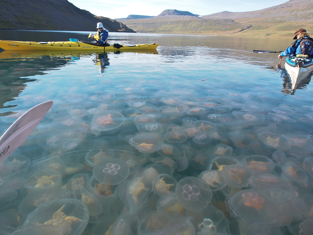 media_UH3D5YX7DRJ46XM2