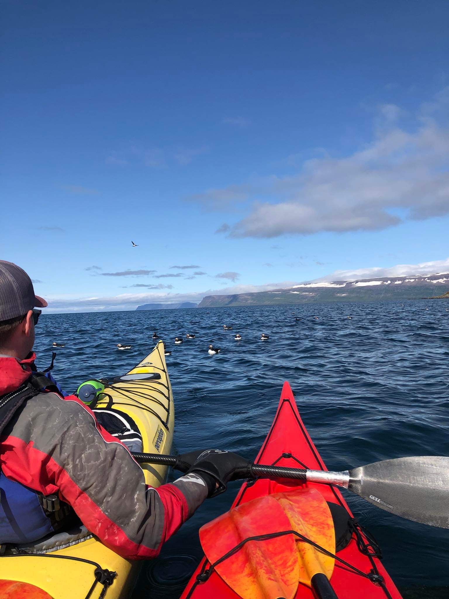 media_UXRGF3CY8J5WQDVY