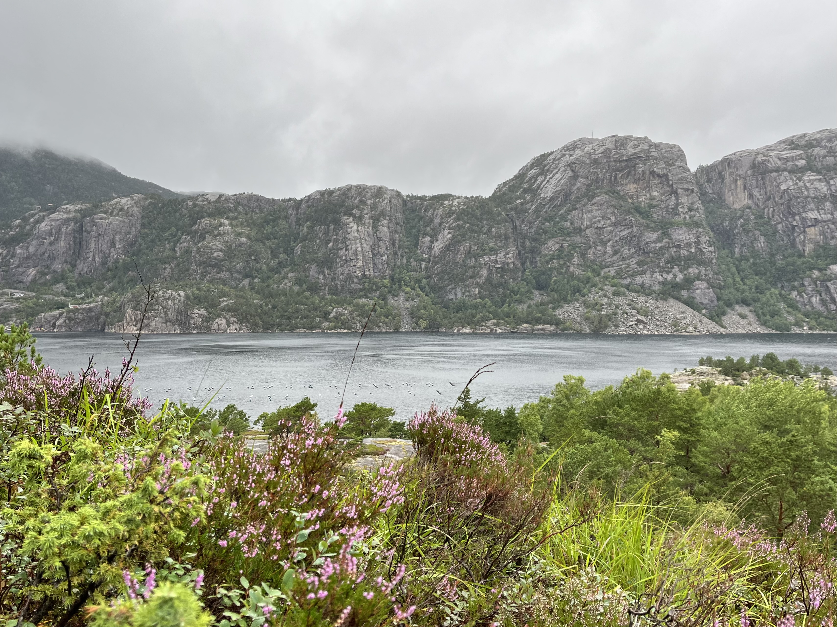 media_2KNBA7ENU3XHWCFB