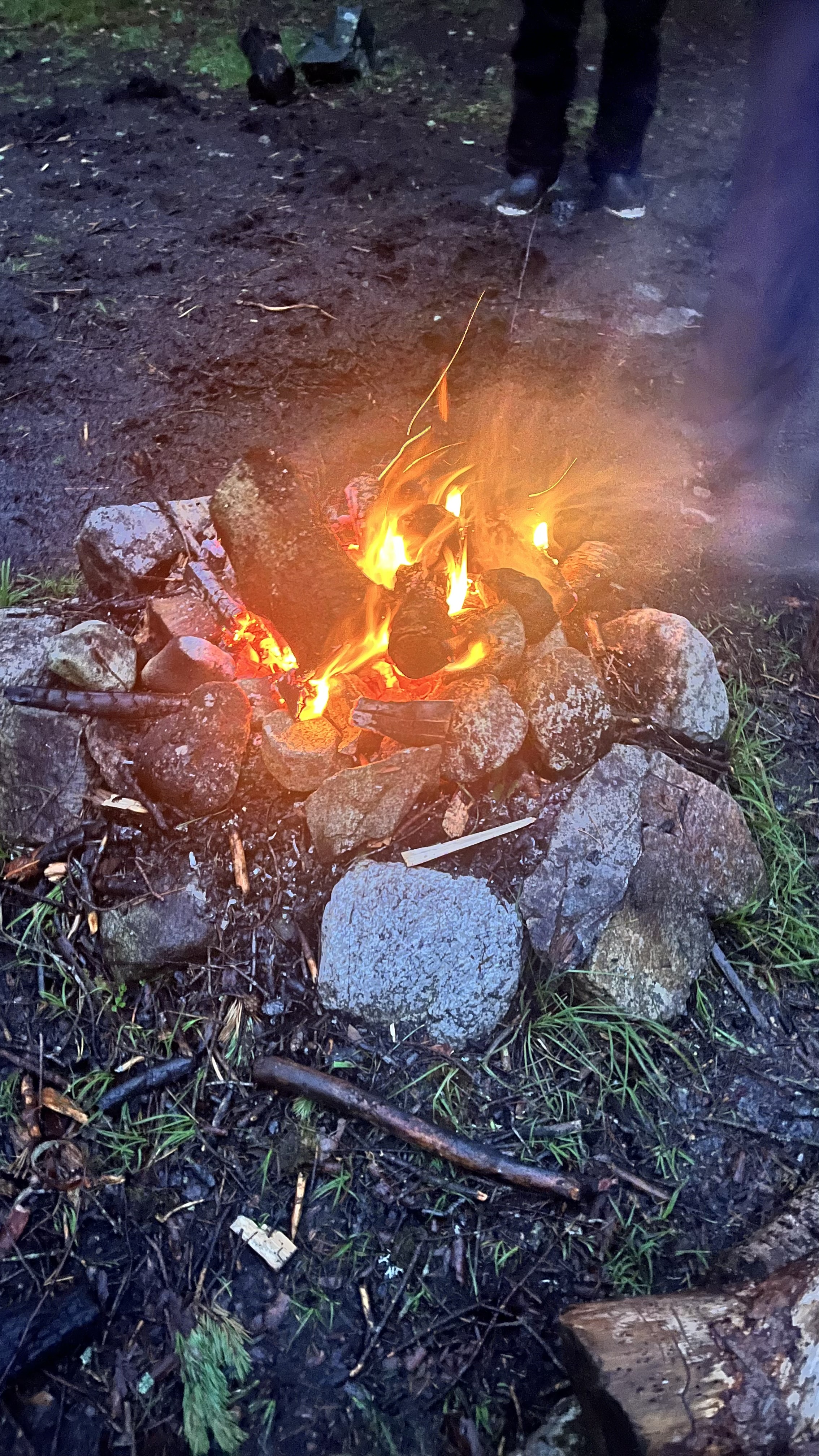 media_4FJFVFGDYXE5AVRR