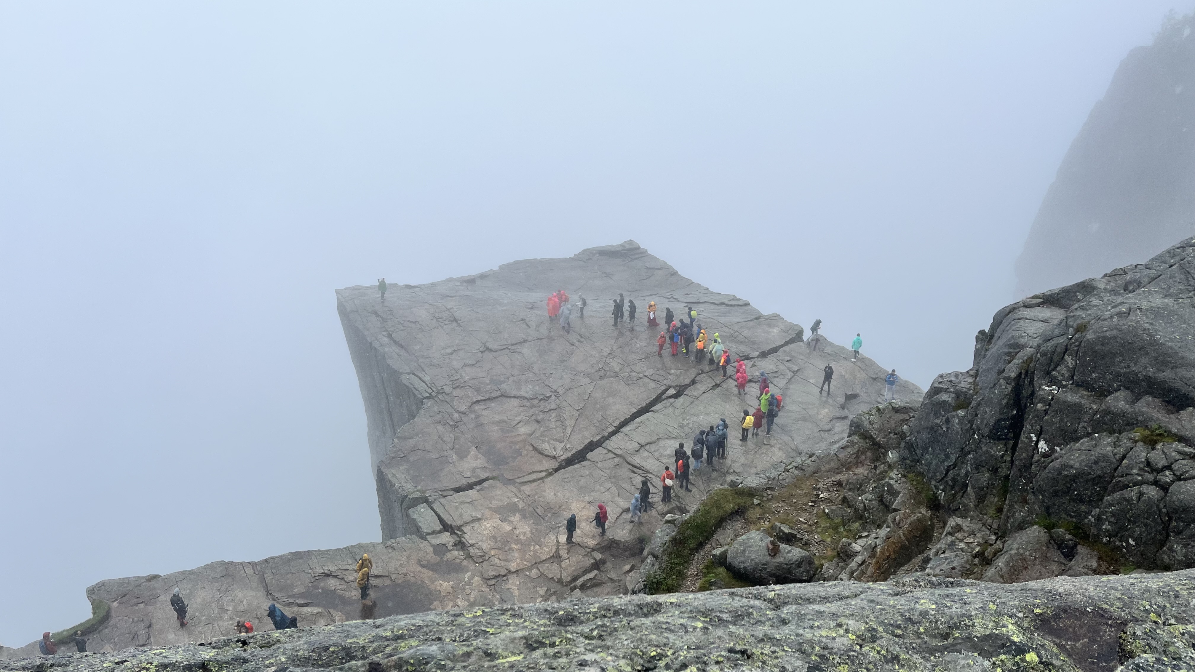 media_5YS9YS2PALQFYJUR