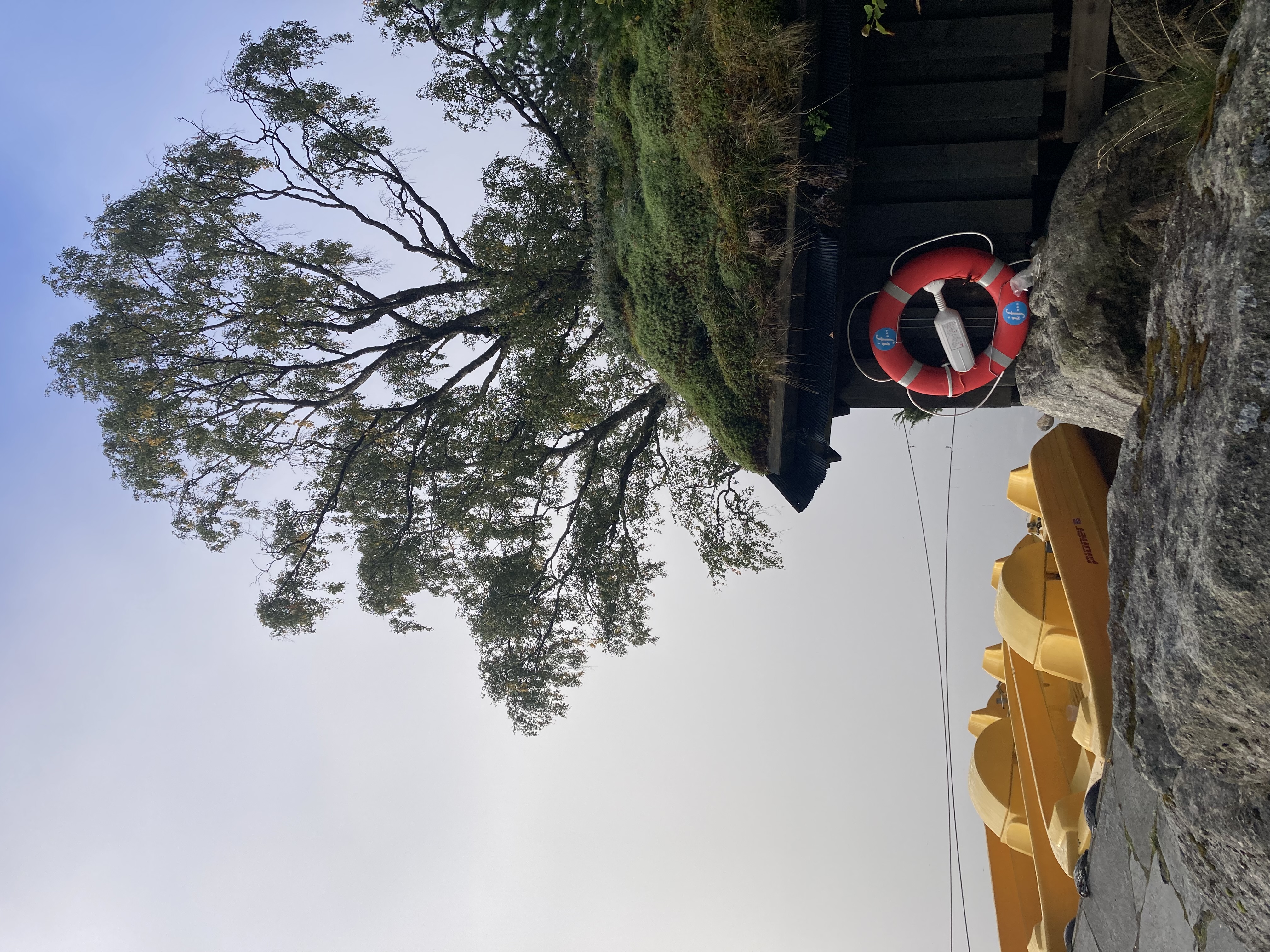 media_9BCAQ2WFXNSDGWLT