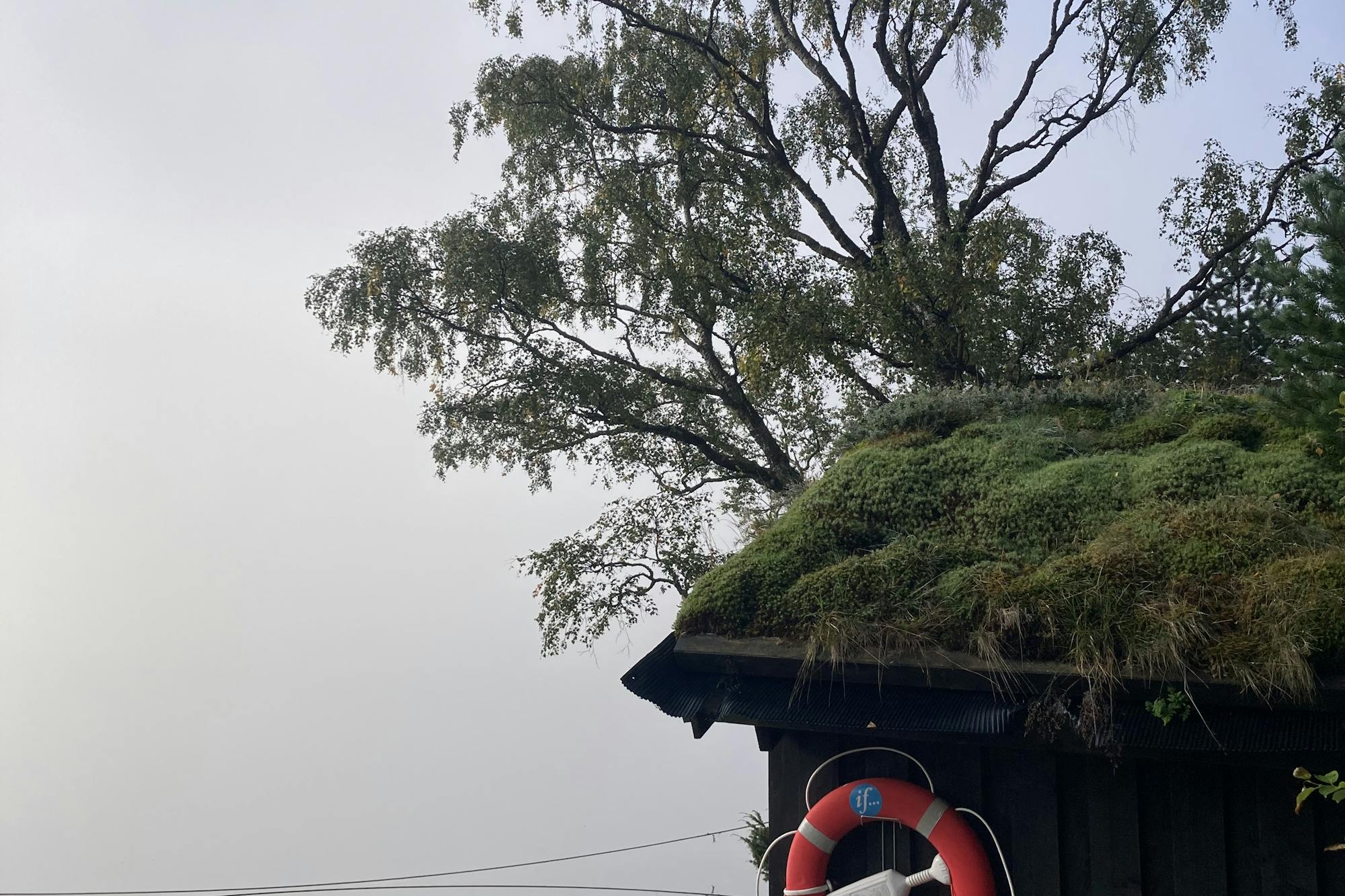 media_9BCAQ2WFXNSDGWLT